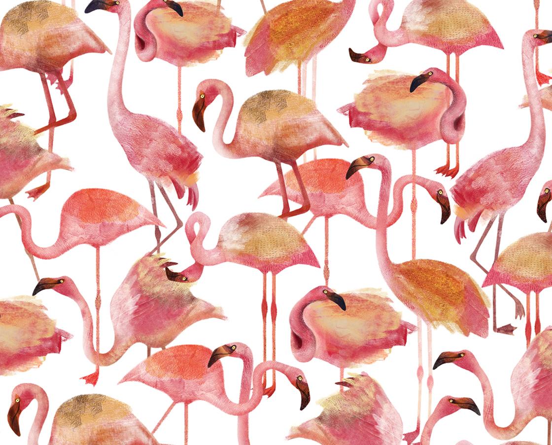 GIẤY DÁN TƯỜNG 1120x904 hồng hạc https://wallpaperaccess.com/full/888730.jpg