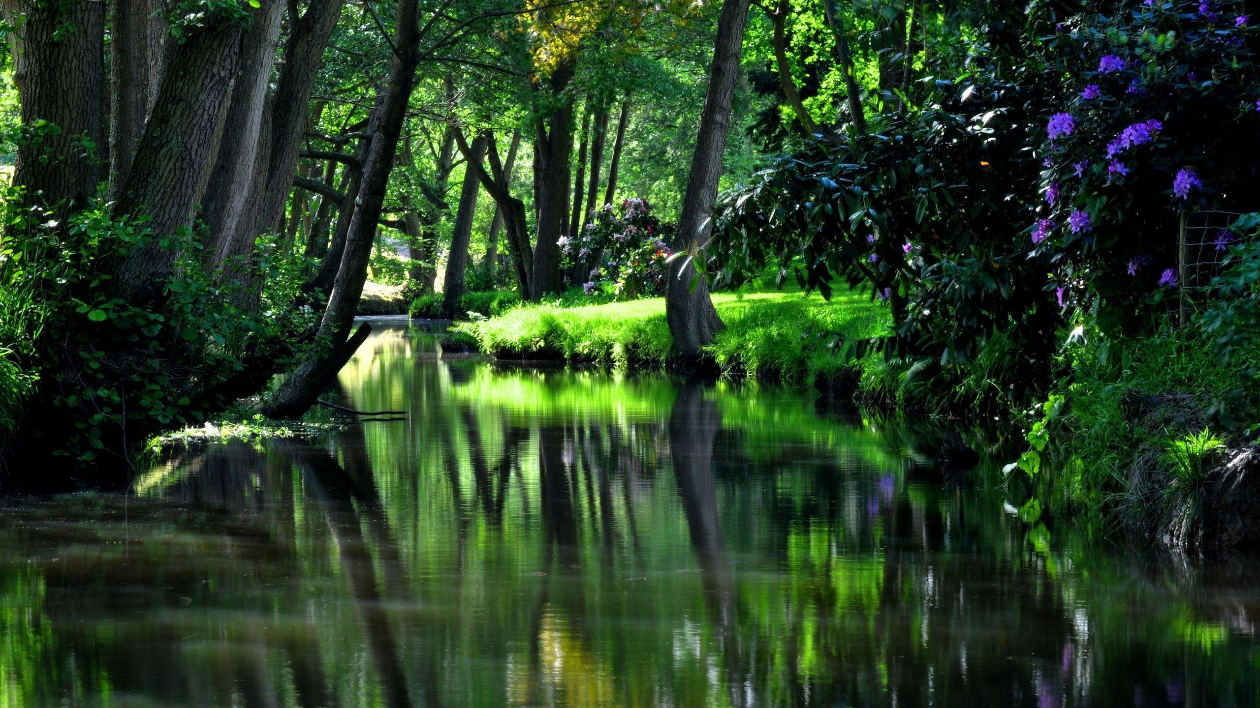 2560x1440 Download wallpaper 2560x1440 reservoir, river, garden, flowers, trees, shadow, cool, summer residences widescreen 16:9 HD background