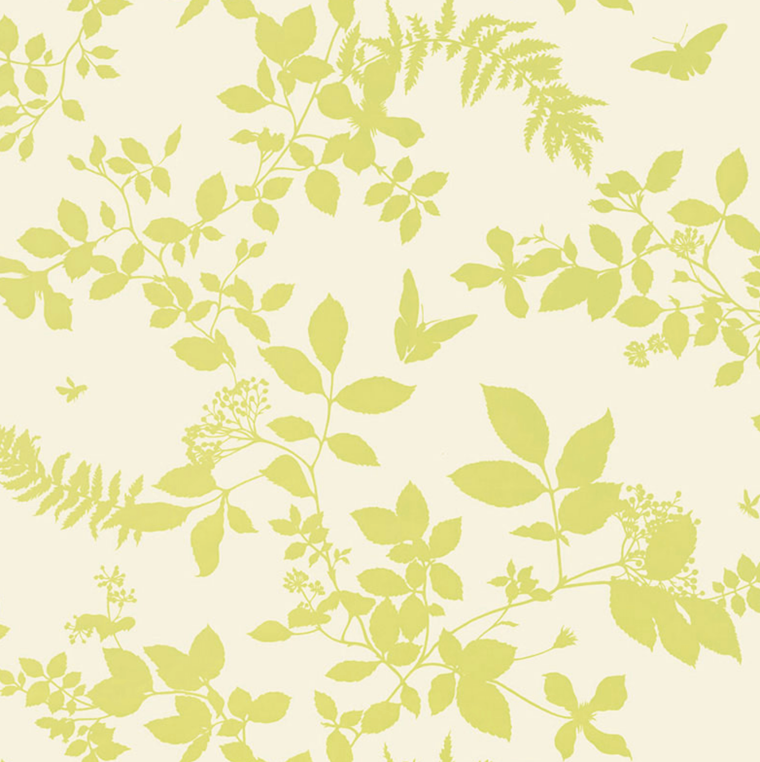 1564x1568 Shadow Garden Wallpaper American Dry Goods Co