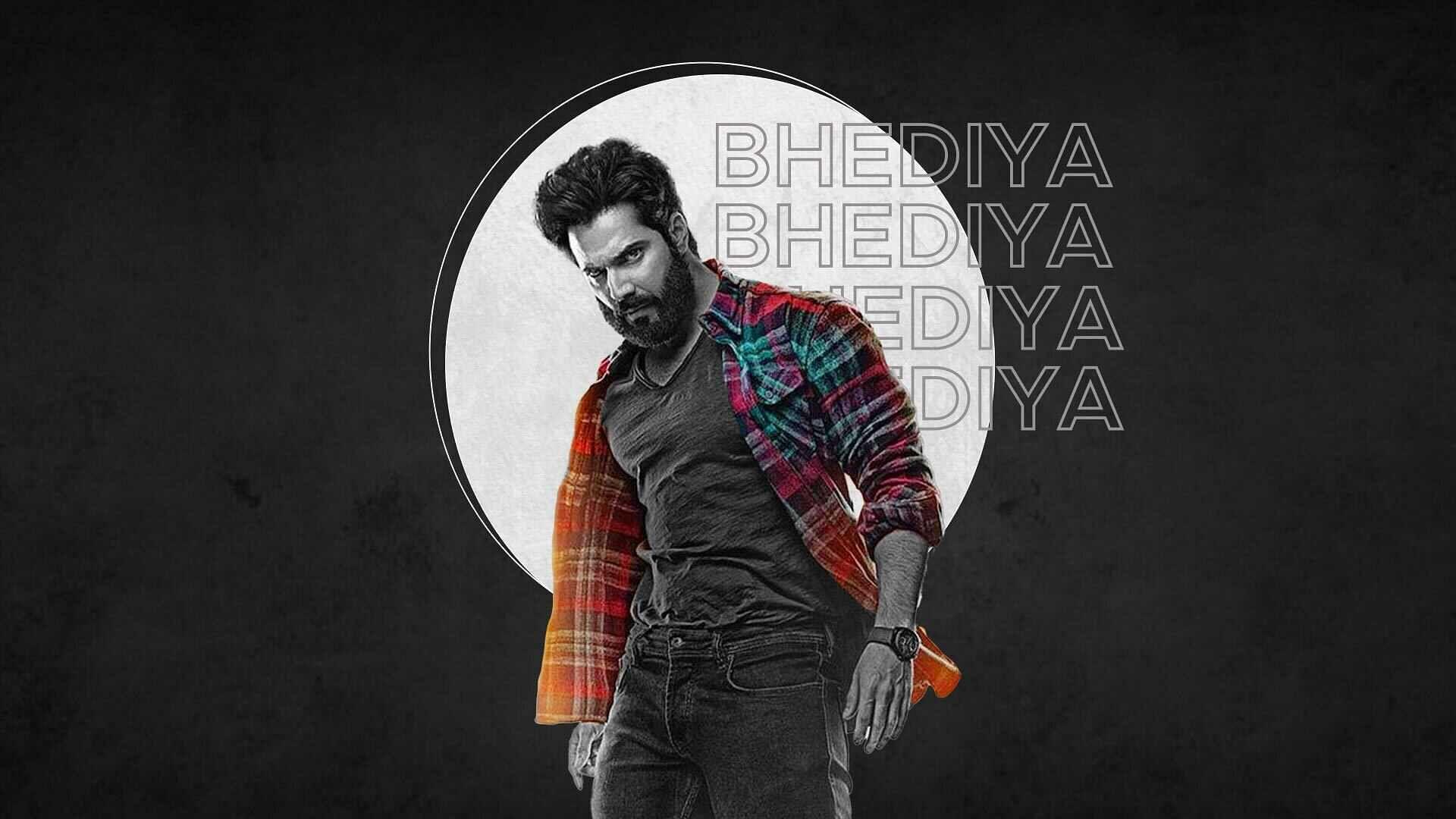 Bhediya Wallpapers Top Free Bhediya Backgrounds WallpaperAccess