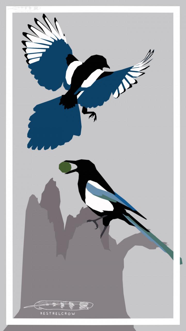 720x1280 Magpie Wallpaper by kestrelcrow - Fur Affinity [dot] net