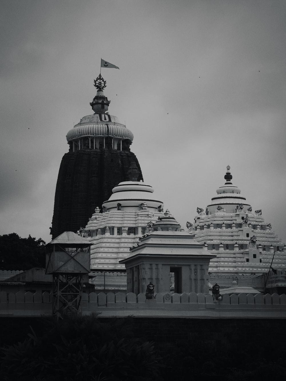 1000x1333 Puri Picture. Download Free Image