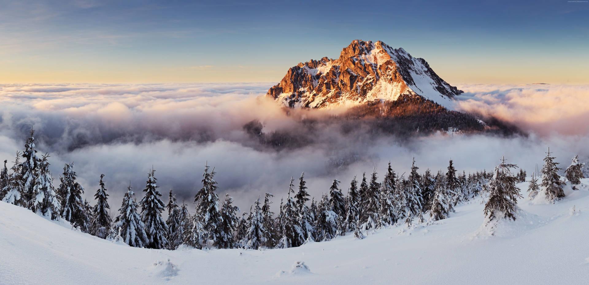 1920x929 Free 5k Wallpaper Downloads, 5k Wallpaper for FREE