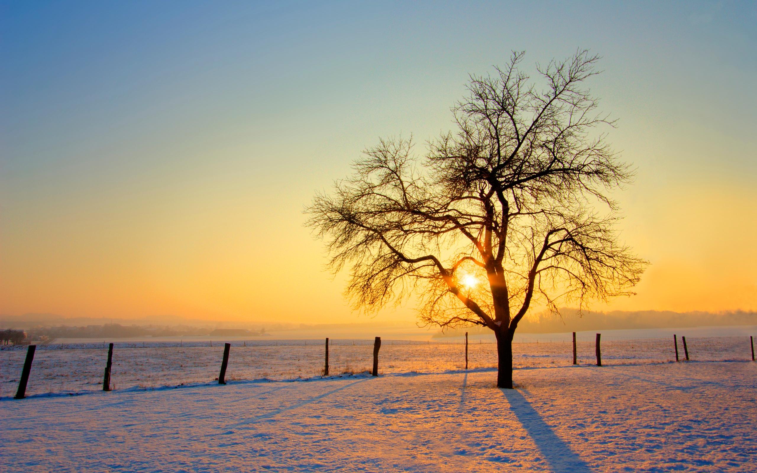 Cold Morning Wallpapers Top Free Cold Morning Backgrounds Wallpaperaccess