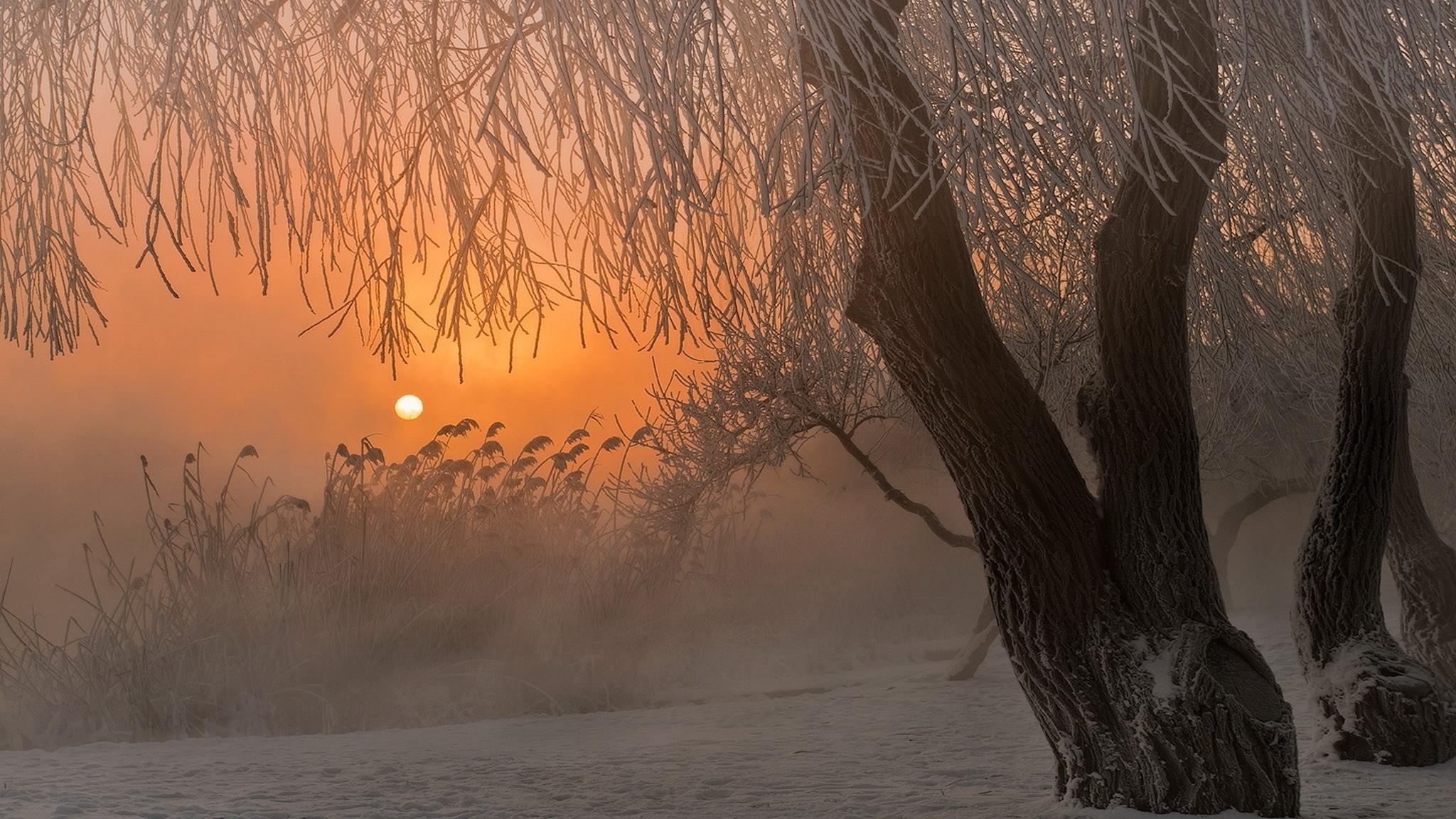 2048x1152 In the frosty morning