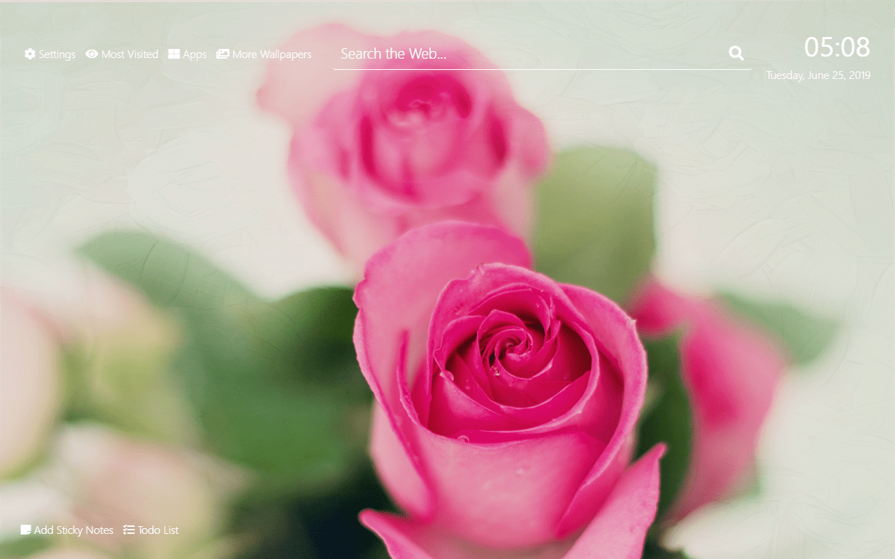 1280x800 Pink Roses Wallpaper HD New Tab Theme