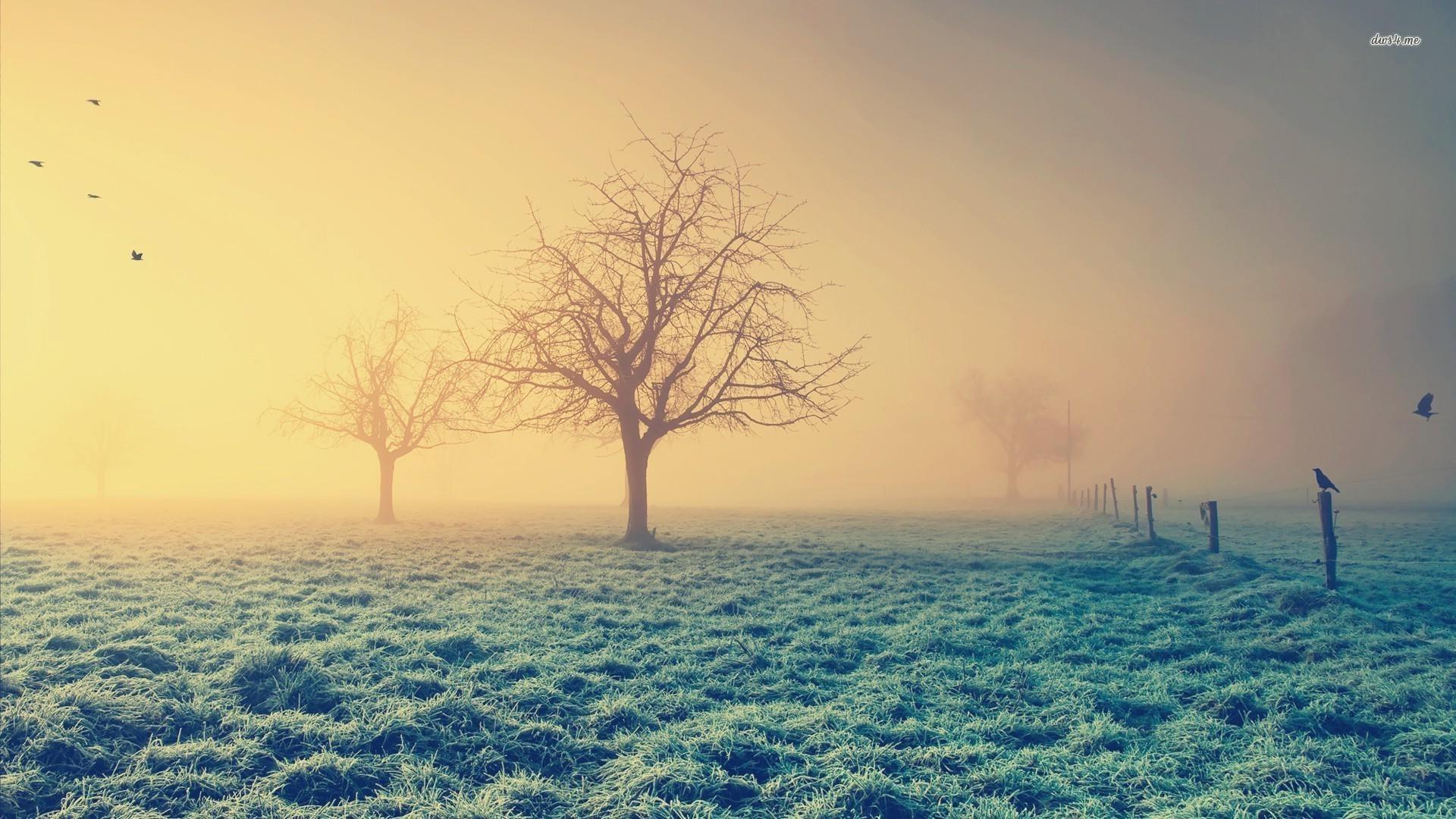 Frosty Morning Wallpapers - Top Free Frosty Morning Backgrounds ...