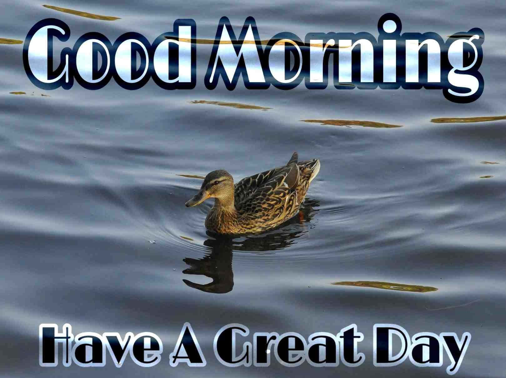 1619x1208 Good Morning Wallpaper