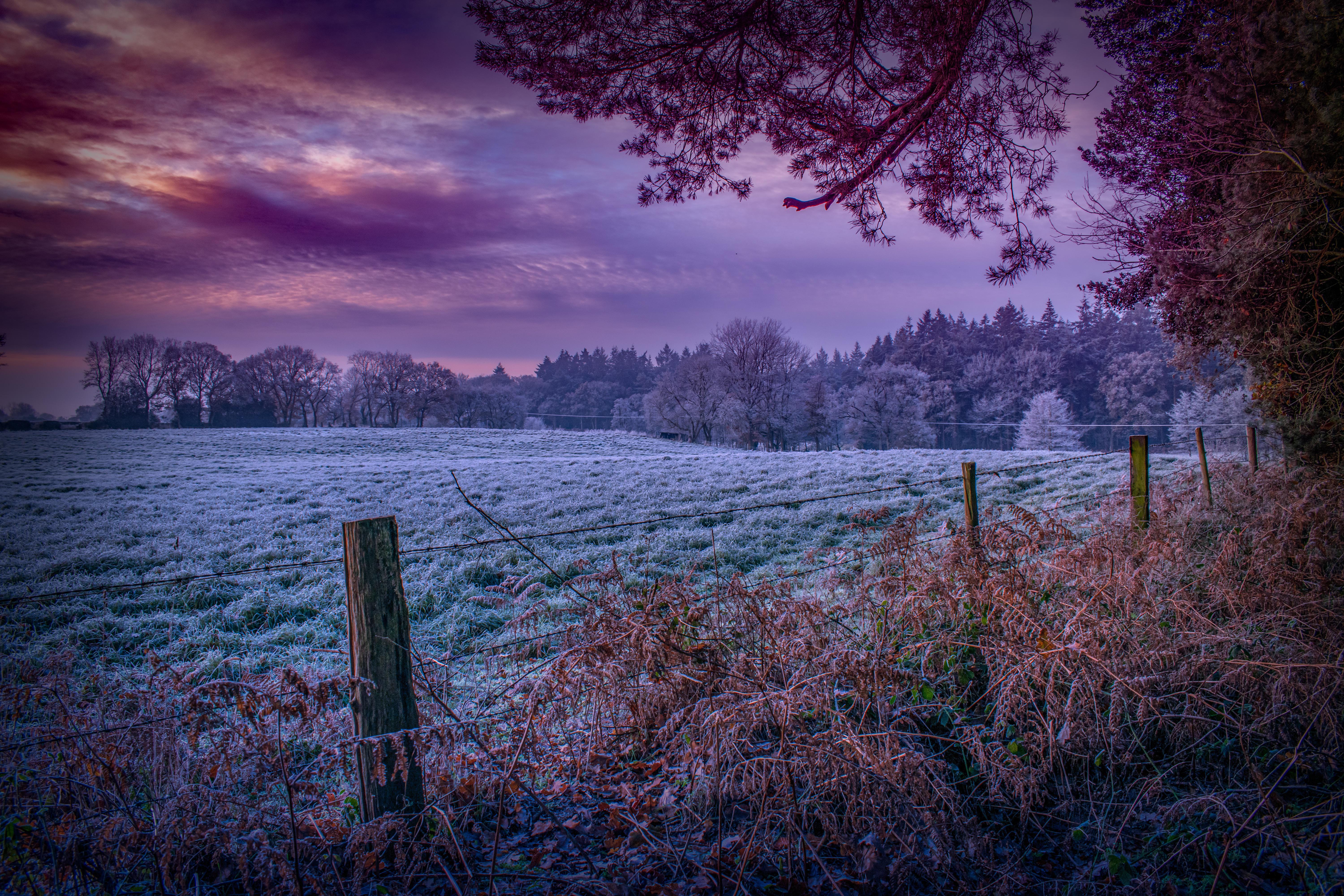 6000x4000 Frosty morning in the Norfolk UK countryside