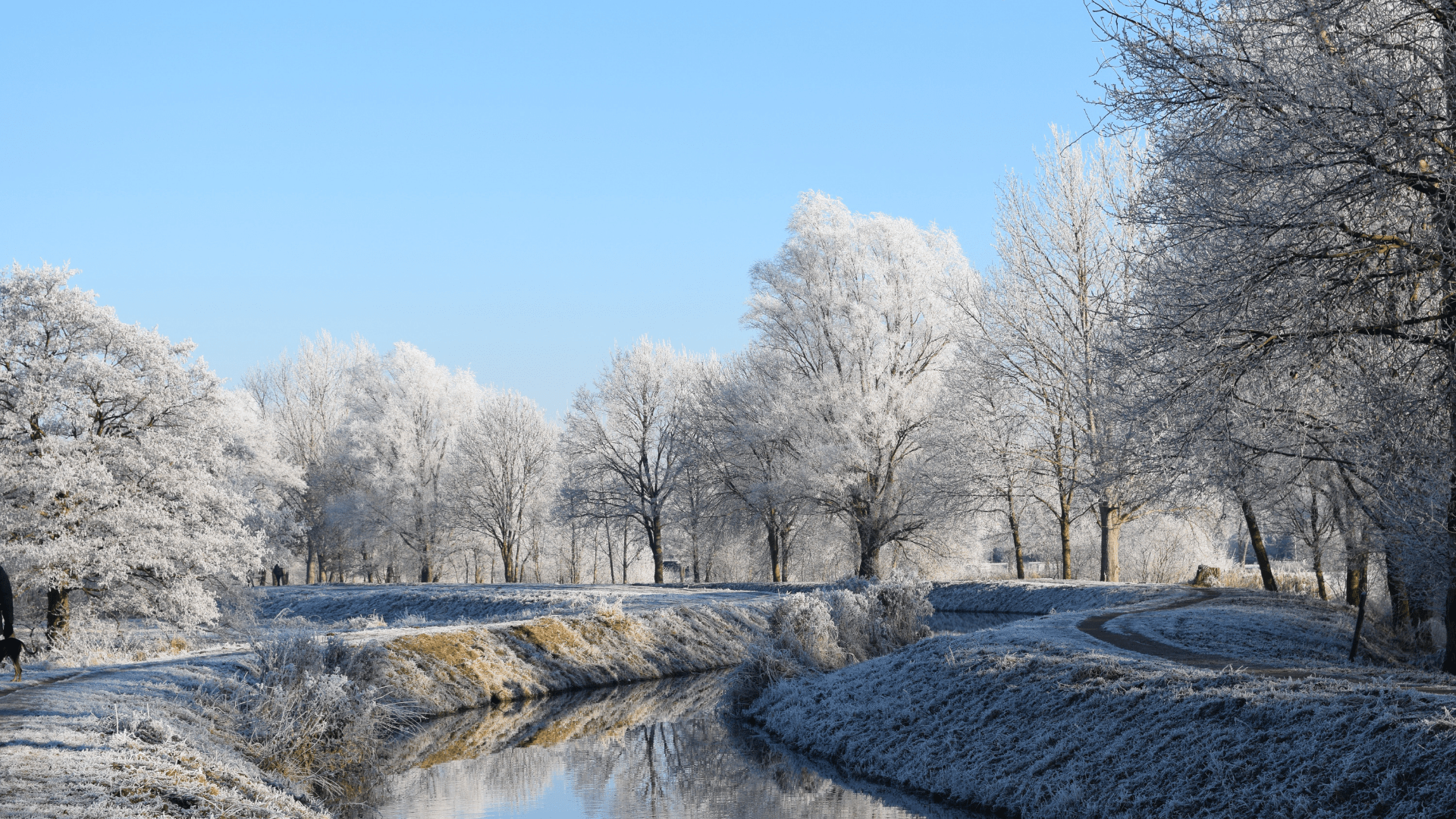 Frosty Morning Wallpapers - Top Free Frosty Morning Backgrounds ...