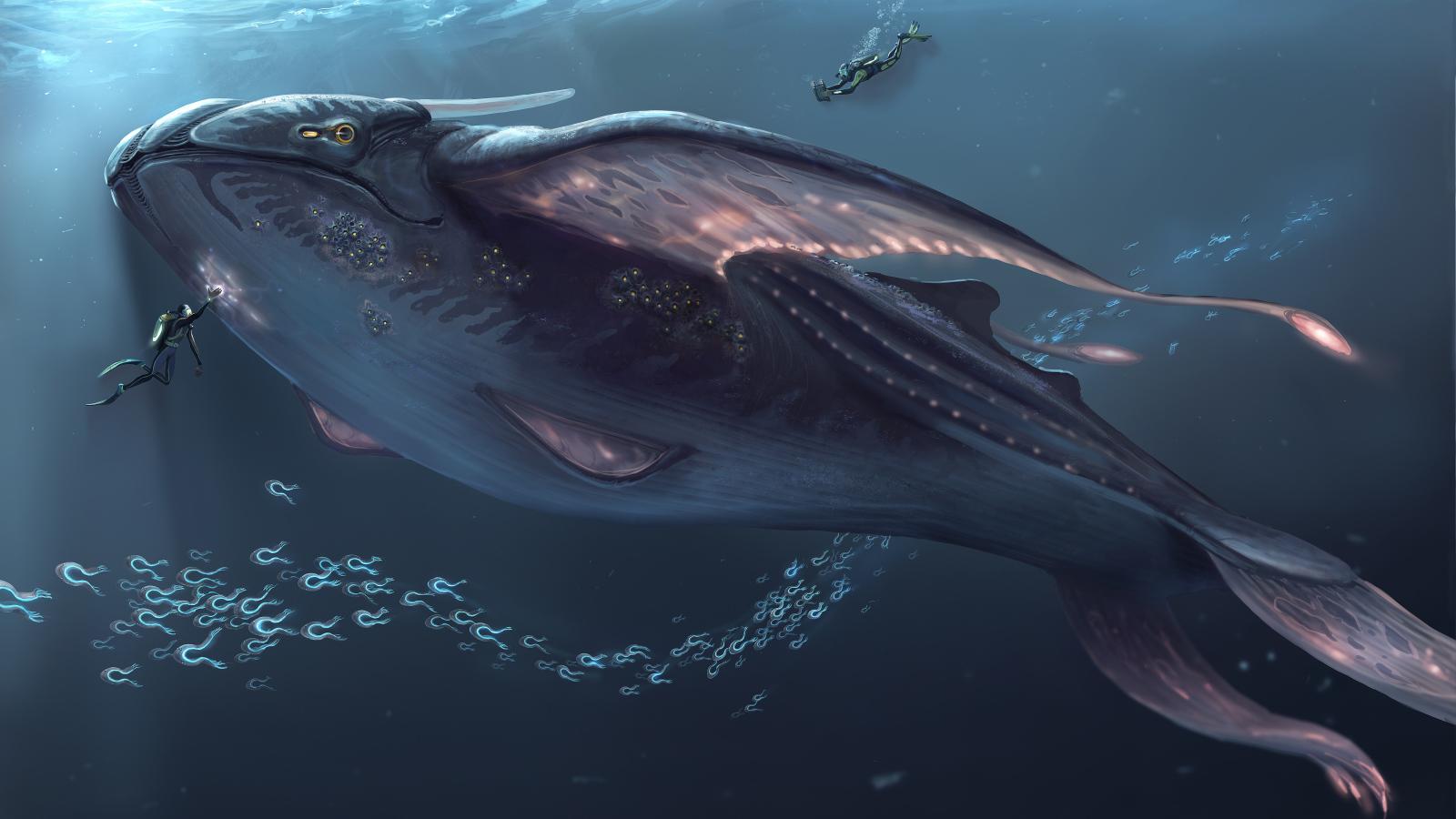 1600x900 Frame of the new computer game Subnautica, 2018 Desktop wallpaper 1600x900