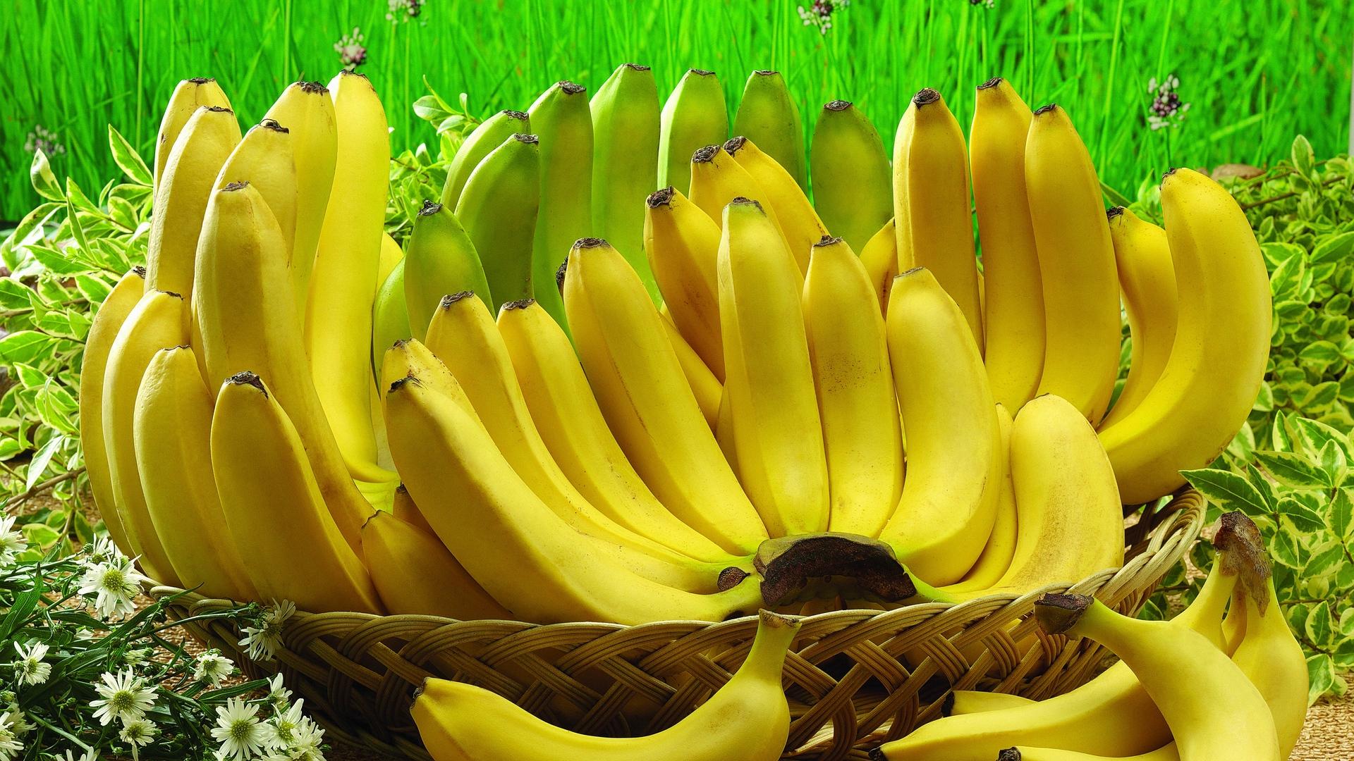 Banana Wallpapers Top Free Banana Backgrounds Wallpaperaccess