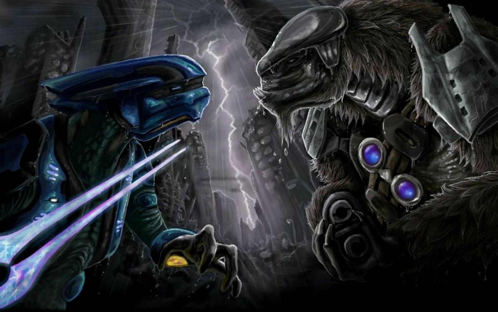 1600x1001 Halo Elite Wallpaper