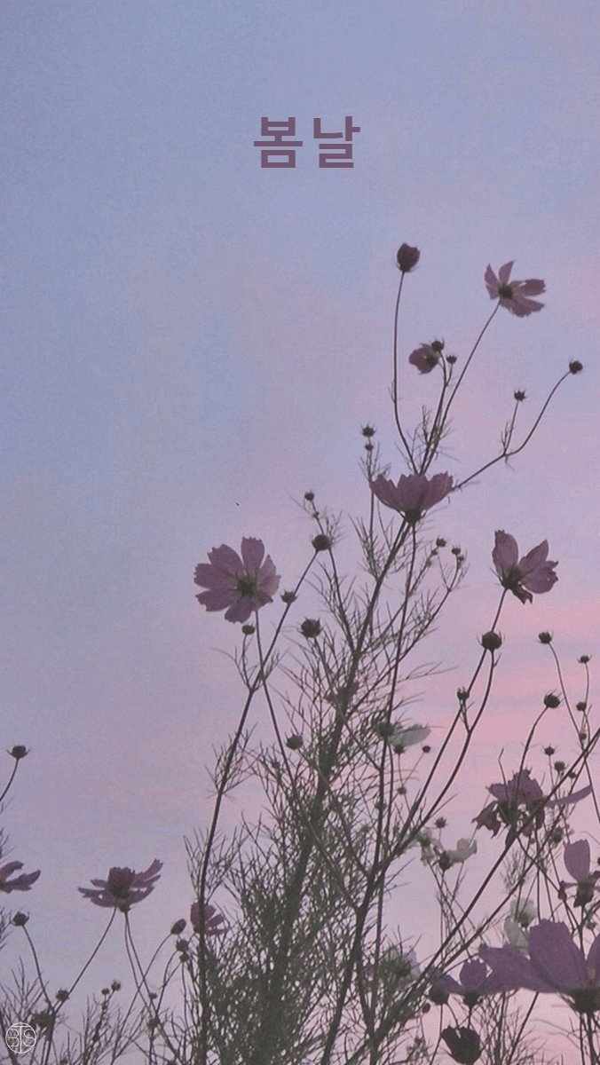 676x1200 Korean Aesthetic Wallpaper