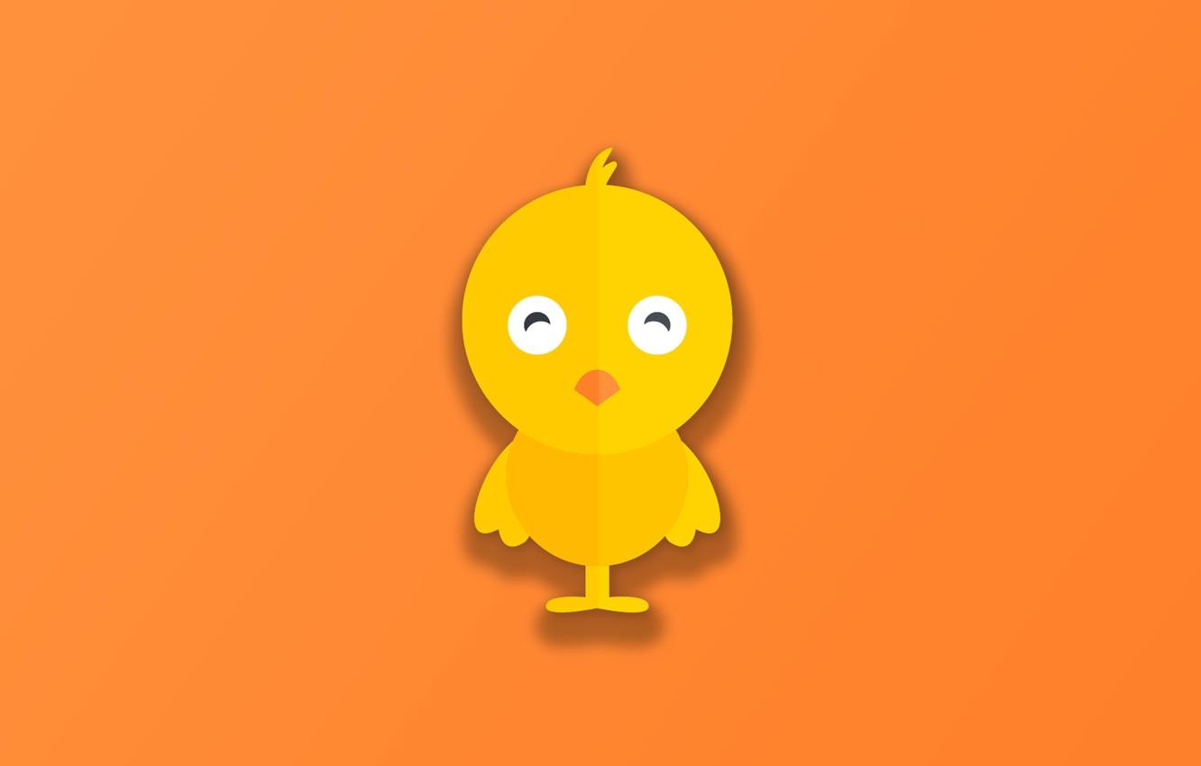 1332x850 Free download Wallpaper minimalism bird animal funny digital art artwork [1332x850] for your Desktop, Mobile & Tablet. Explore Funny Desktop Background. Funny Background, Wallpaper Funny, Funny Cartoons Wallpaper