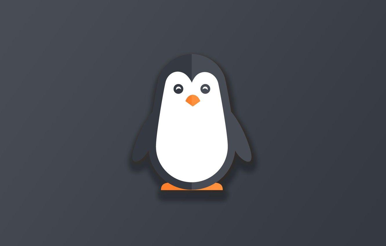 1332x850 Funny Penguin Wallpaper