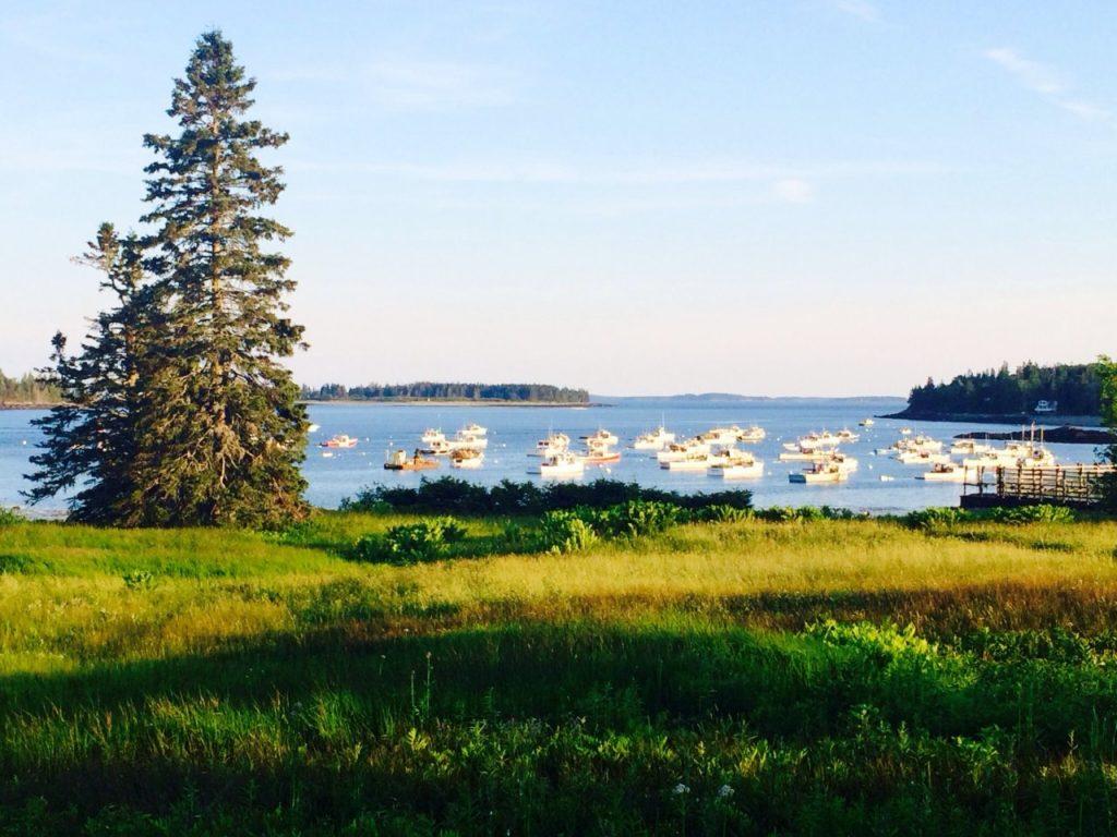 1024x768 Counting My Summer Blessings On The Maine Coast