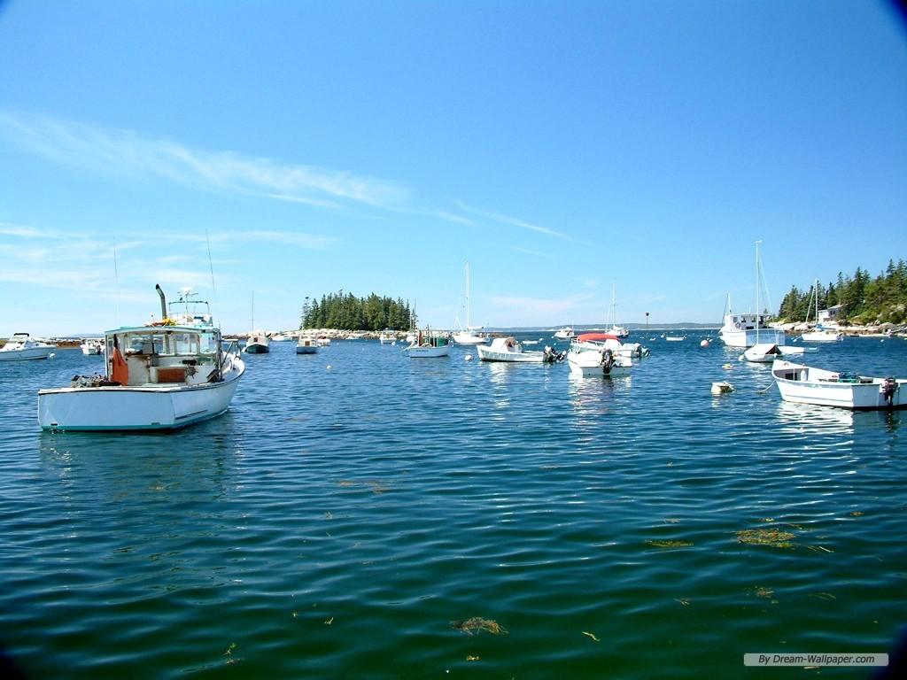 1024x768 Maine Summer Wallpaper
