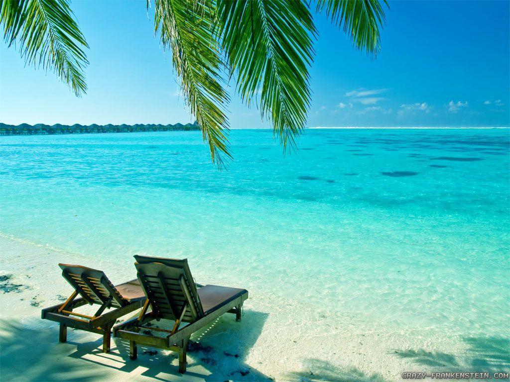 1024x768 Free Summer Background For Computer