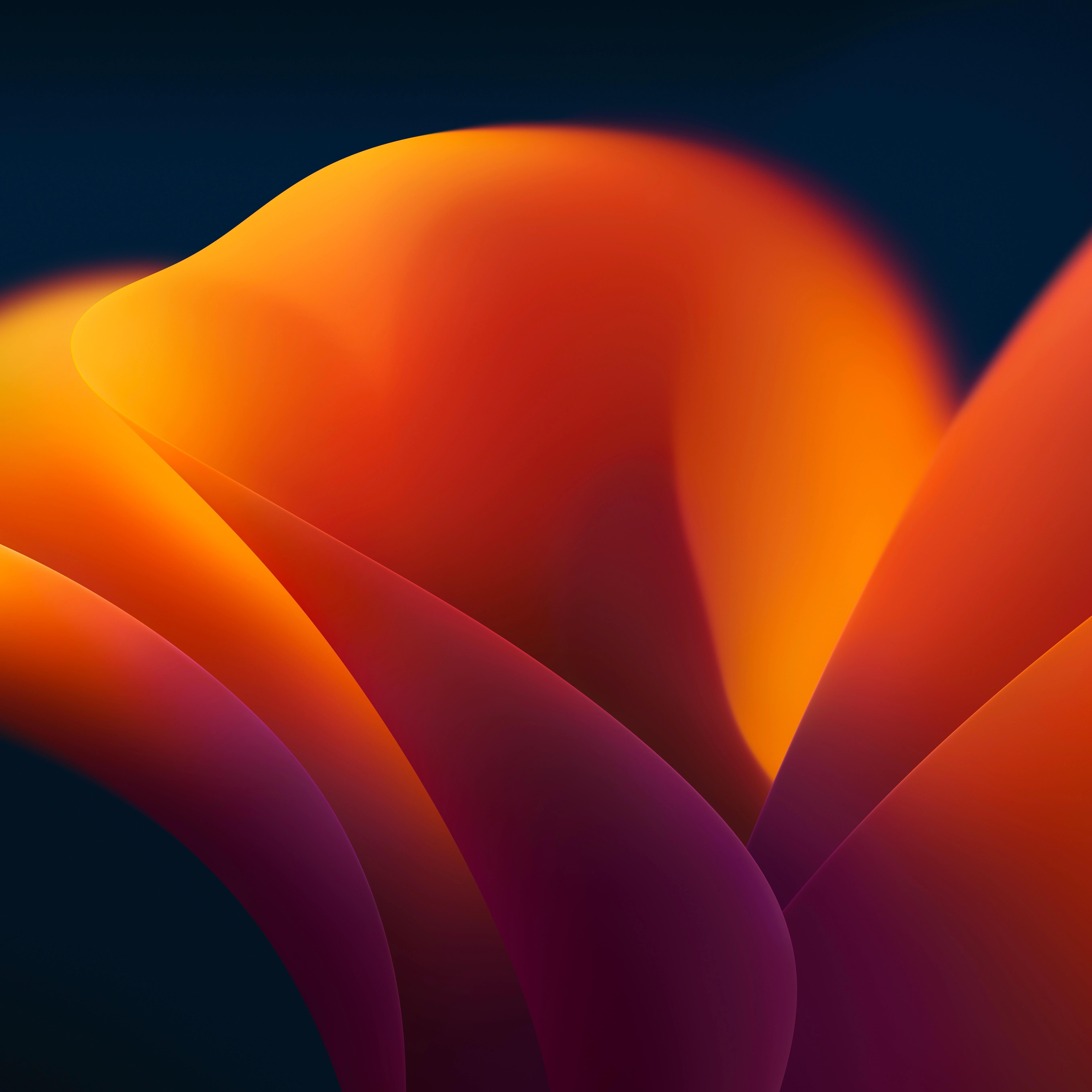 6016x6016 Grab the MacOS Ventura Default Wallpaper