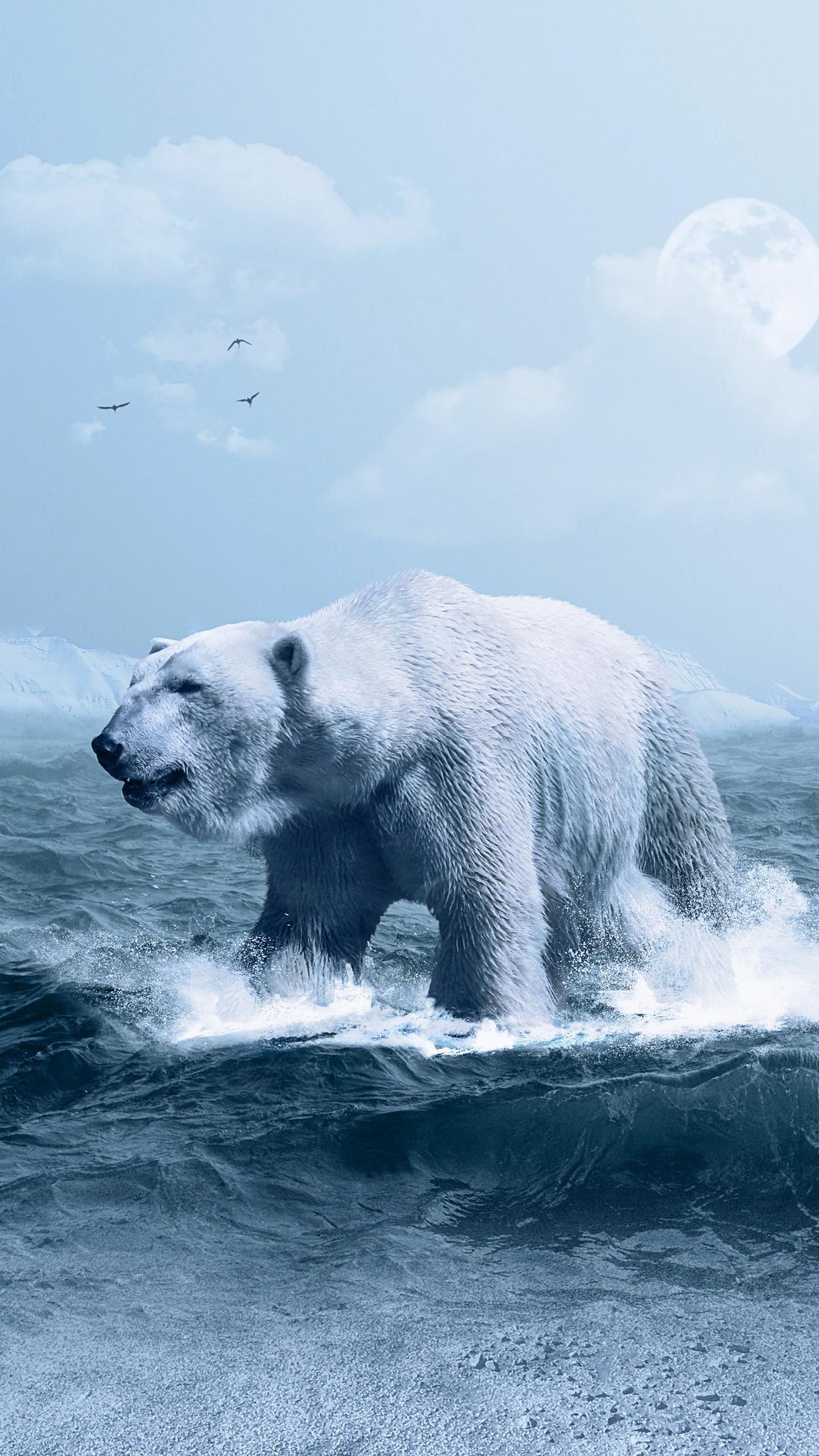 1440x2560 Polar Bear Phone Wallpaper