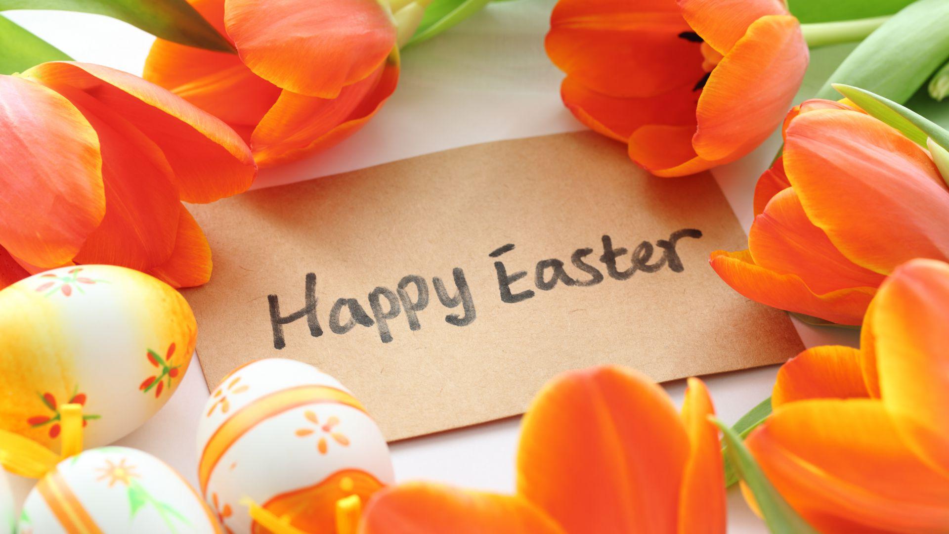 1920x1080 Wallpaper Easter, flowers, tulip, Holidays