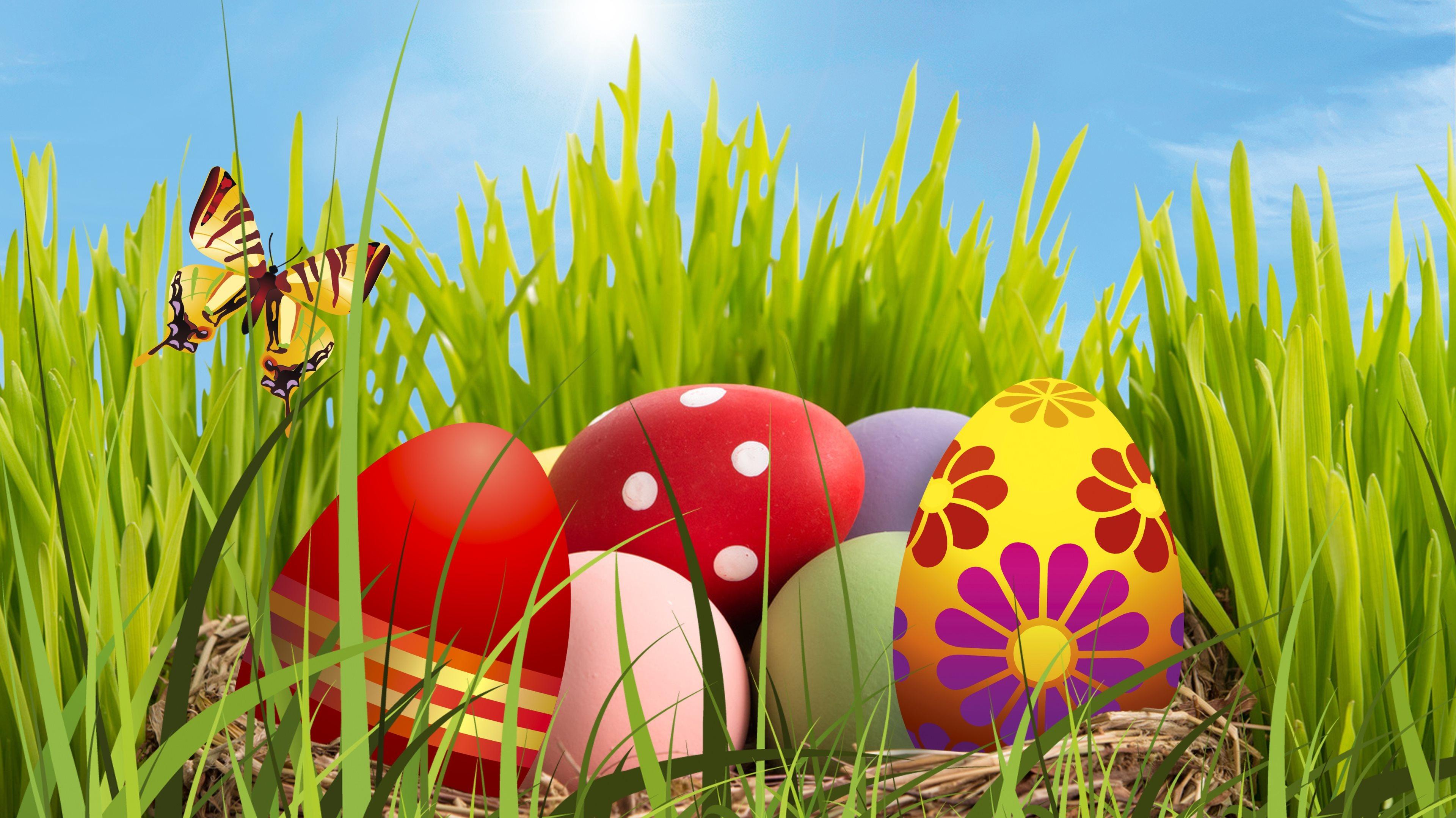 3840x2160 HD desktop wallpaper: Grass, Easter, Holiday, Close Up, Colors, Butterfly, Colorful, Egg, Easter Egg download free picture