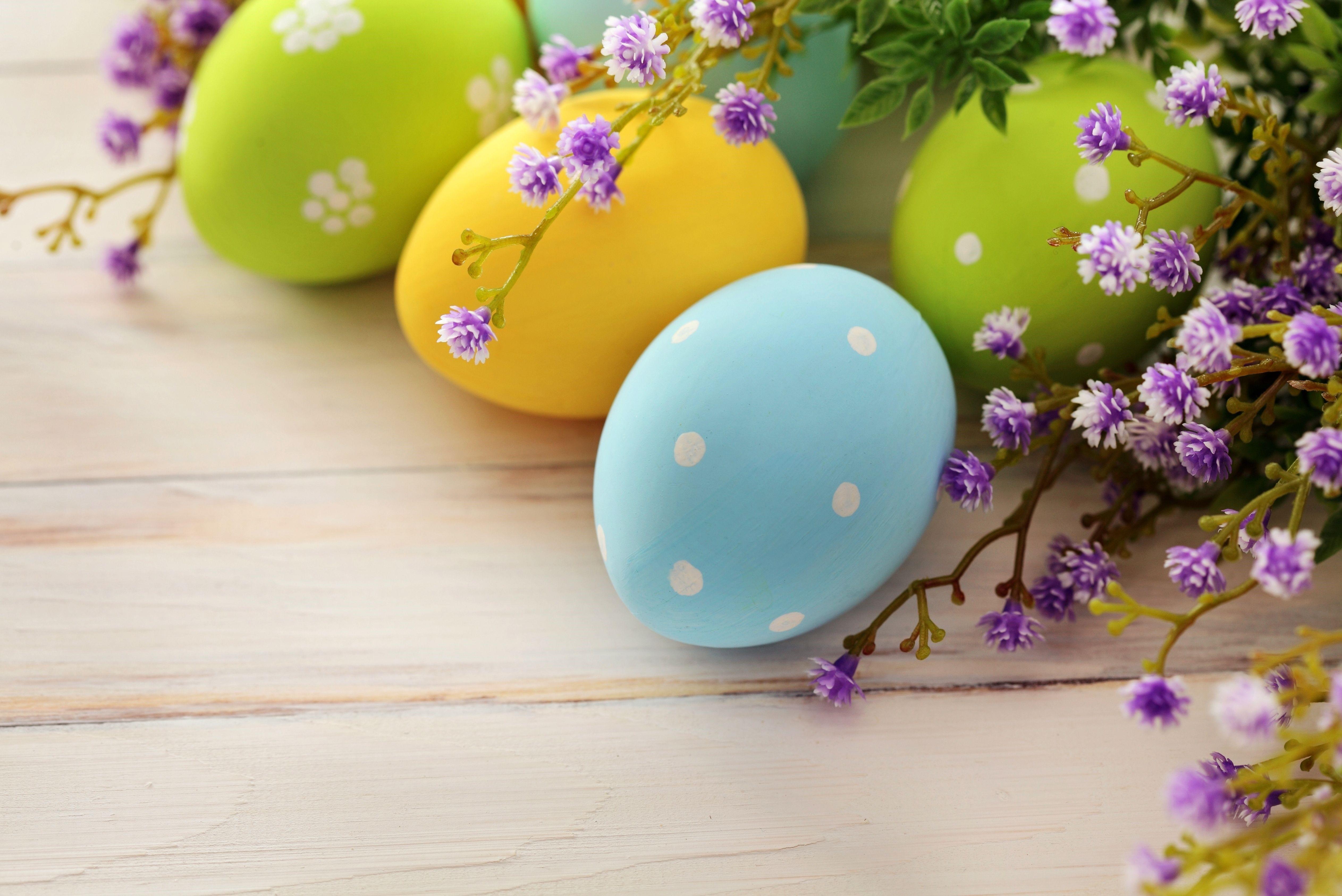 5050x3370 4K, 5K, Holidays, Easter, Eggs Gallery HD Wallpaper