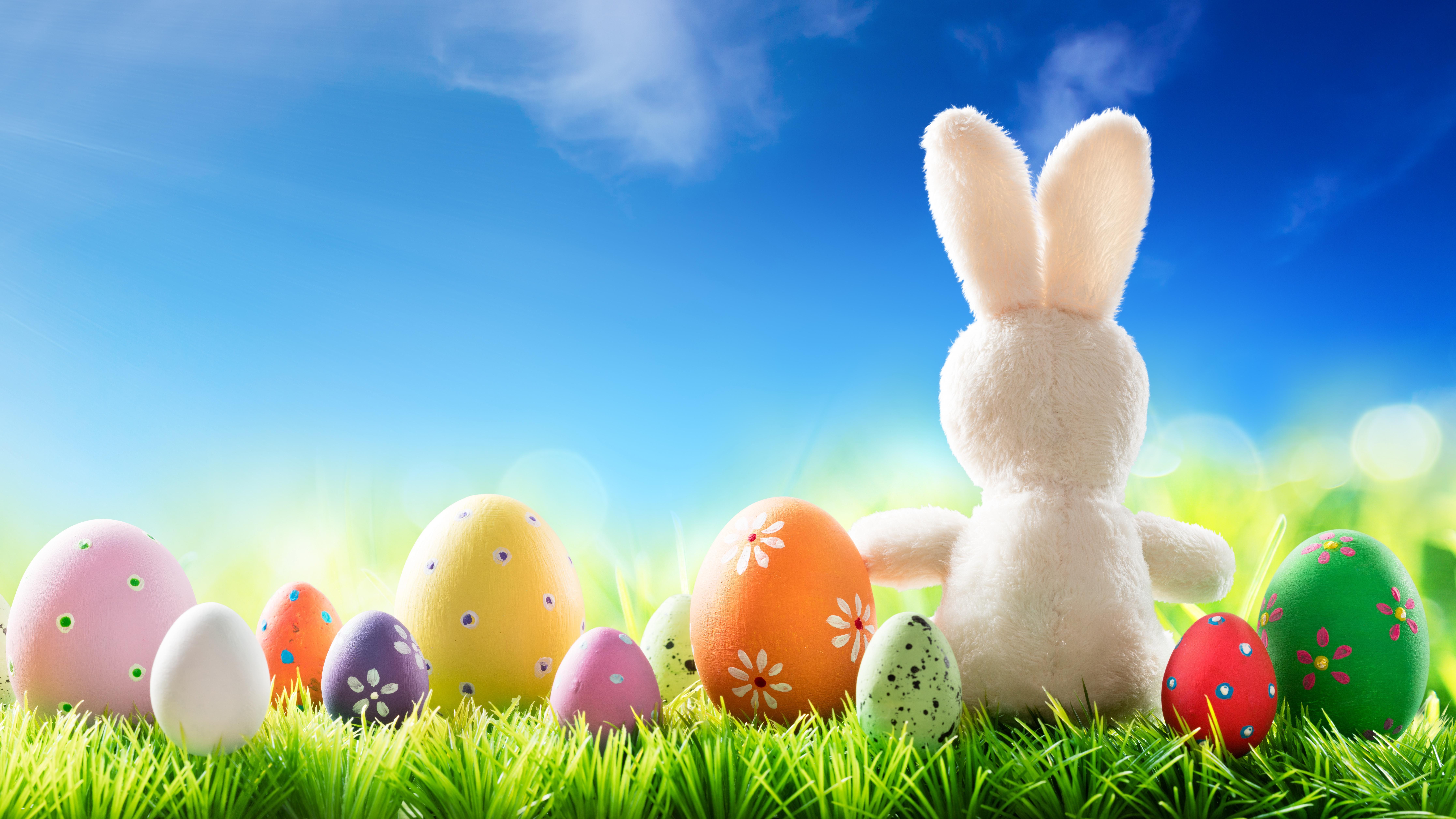 8933x5025 HD desktop wallpaper: Easter, Holiday, Stuffed Animal, Easter Egg download free picture