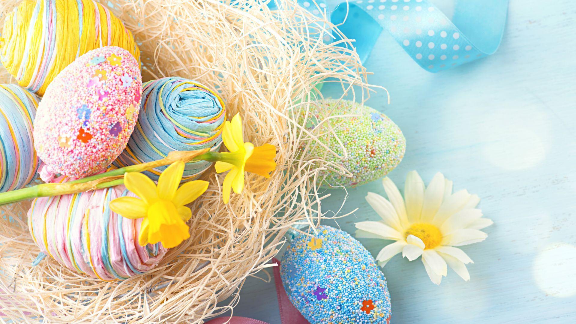 1920x1080 Wallpaper Easter, eggs, flower, 8k, Holidays. Huevos de pascua, Felices pascuas, Fondo de pantalla de pascua