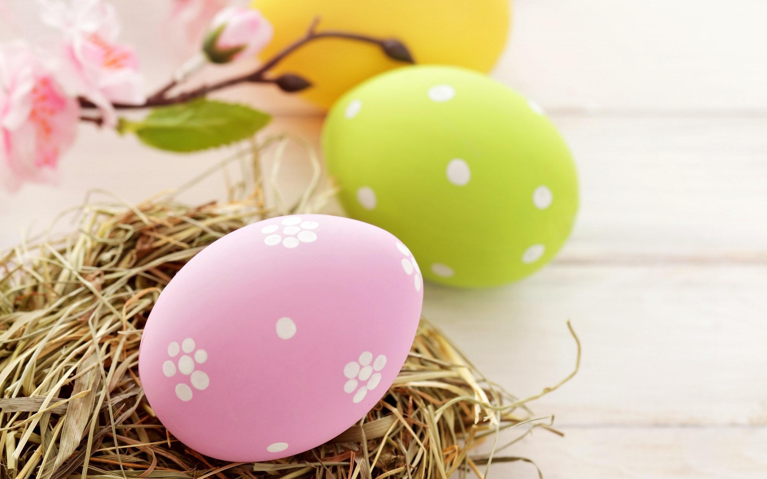 2560x1600 Easter Eggs Holiday