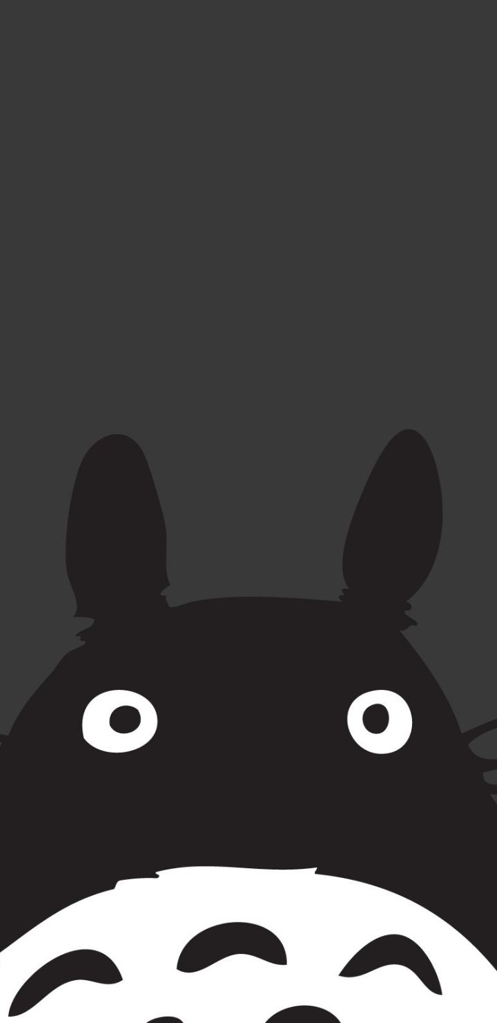 720x1480 My Neighbor Totoro Phone Wallpaper