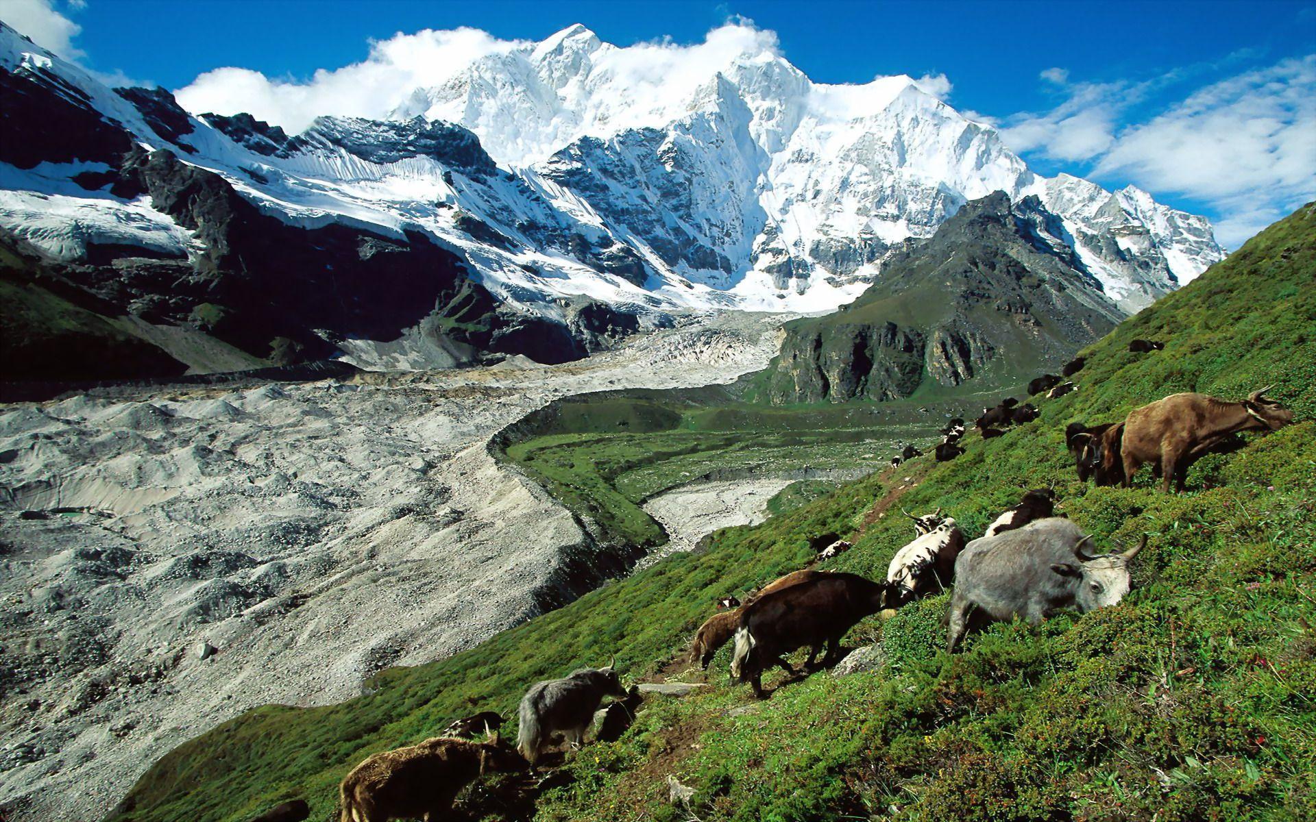 1920x1200 Tibet 36491 1920x1200 px