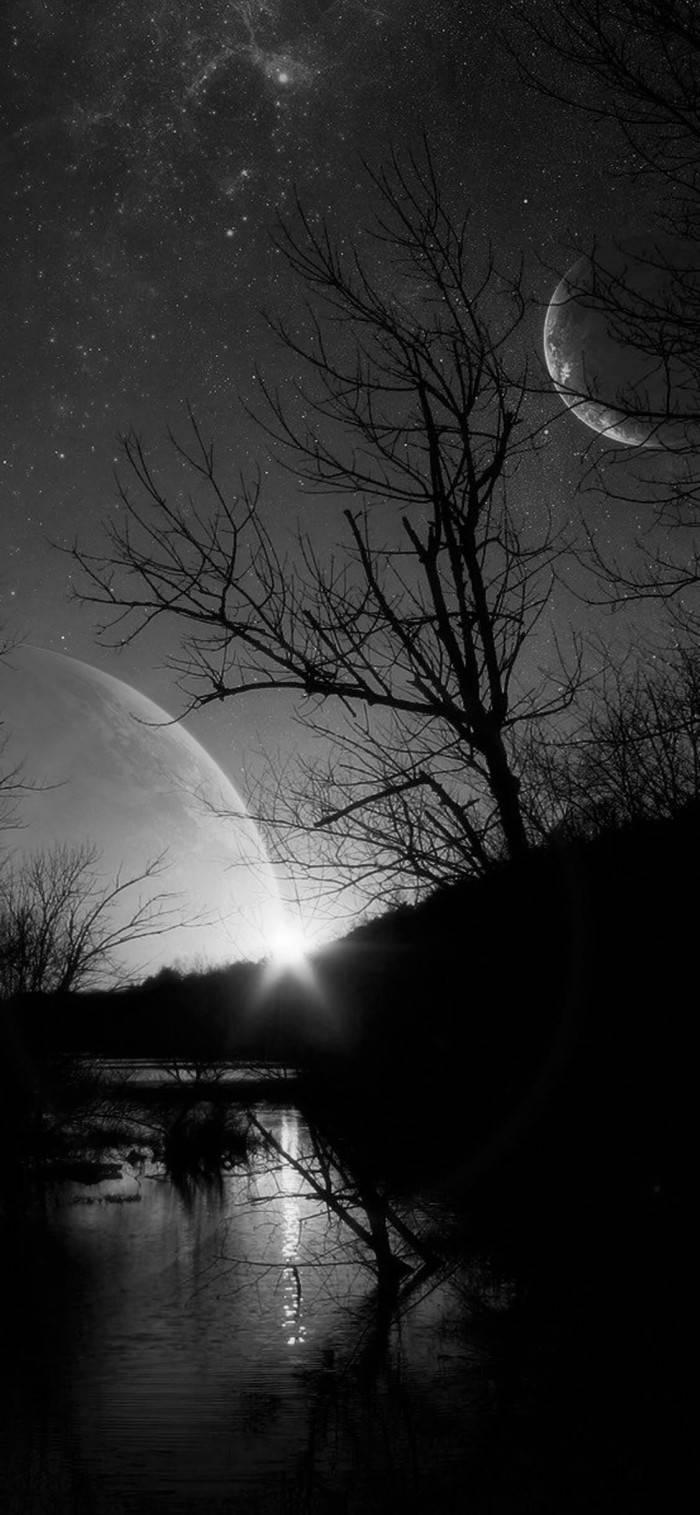 Dead Tree Wallpapers Top Free Dead Tree Backgrounds WallpaperAccess