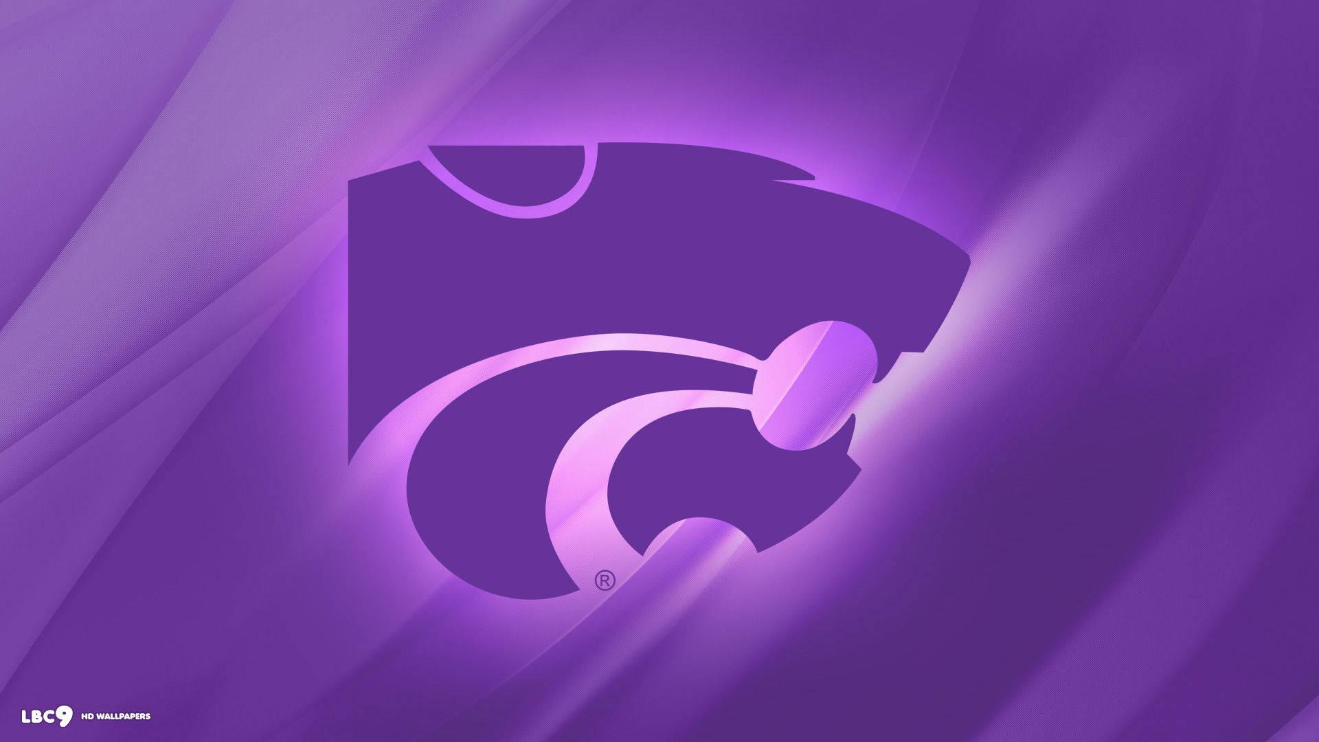 1920x1080 Download Fierce Northwestern University Wildcats Logo Wallpaper