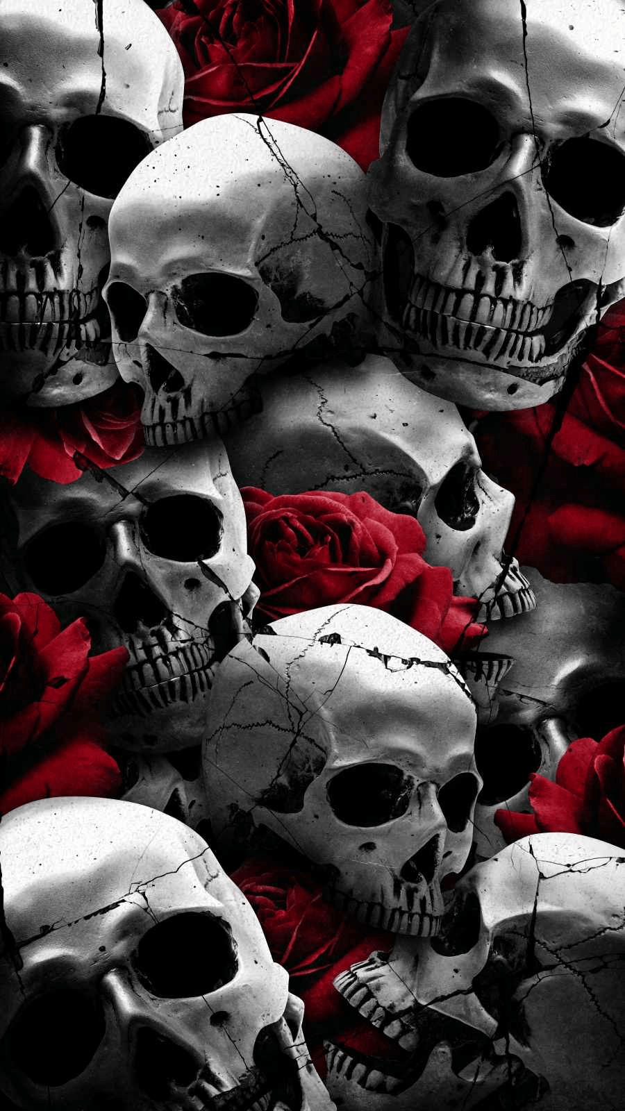 900x1600 Rose Skulls IPhone Wallpaper Wallpaper : iPhone Wallpaper. Arte com caveiras, Ilustração com caveiras, Arte com caveira