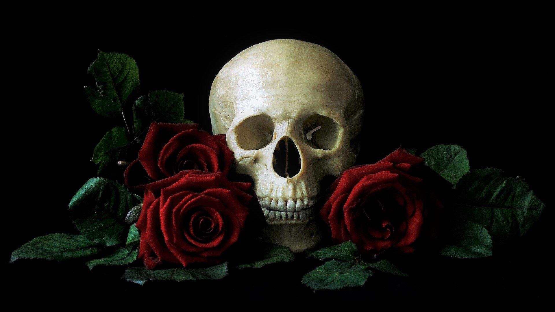 1920x1080 Free download Skull and Roses HD Wallpaper Background Image 1920x1080 [1920x1080] for your Desktop, Mobile & Tablet. Explore Skull With Roses Wallpaper. Red Roses With White Background, Roses Wallpaper, Skull Background