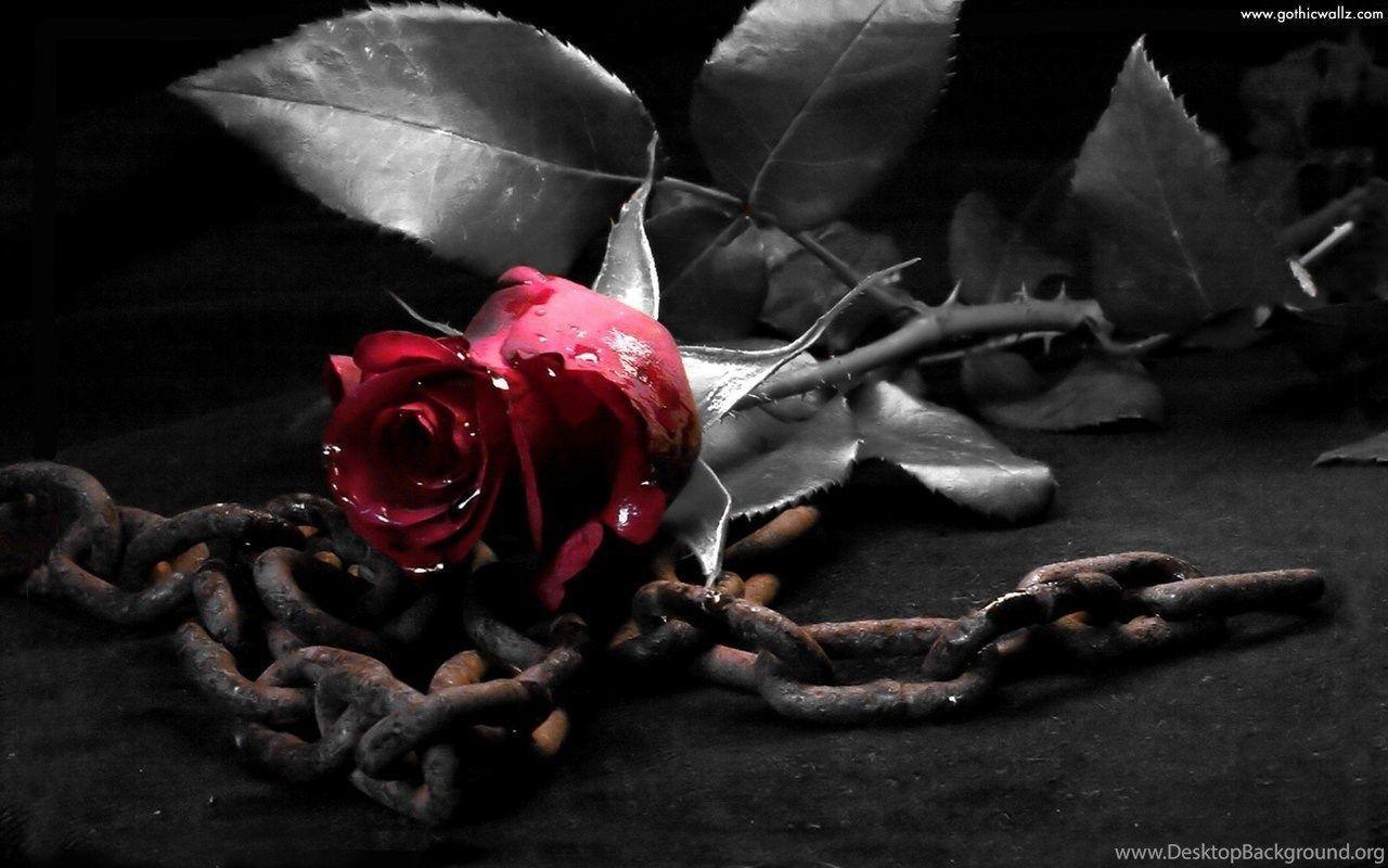 1280x800 Skull And Roses Wallpaper