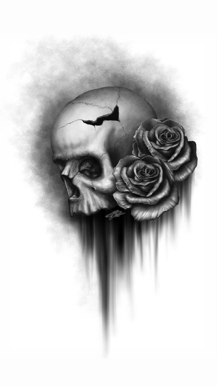 720x1280 Black Skull with Rose Wallpaper