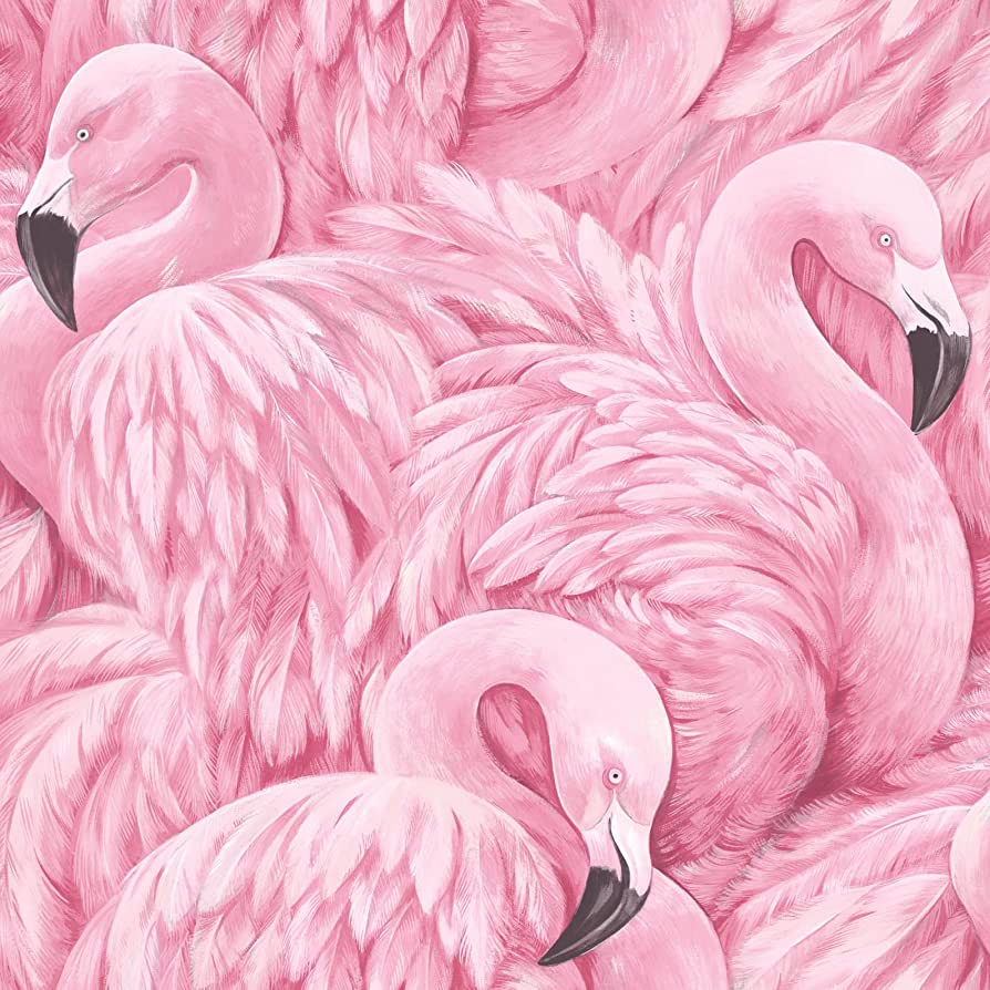 894x894 Rasch Portfolio Pink Black Flamingo Bird Feather Wallpaper Luxury Textured Featured Wall 10m Roll 277890