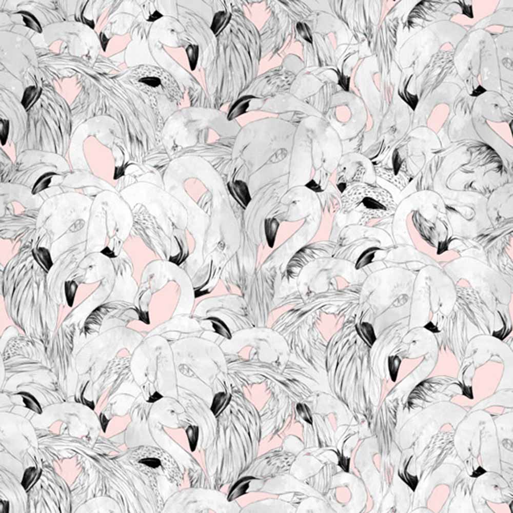 1000x1000 Flamingo Wallpaper