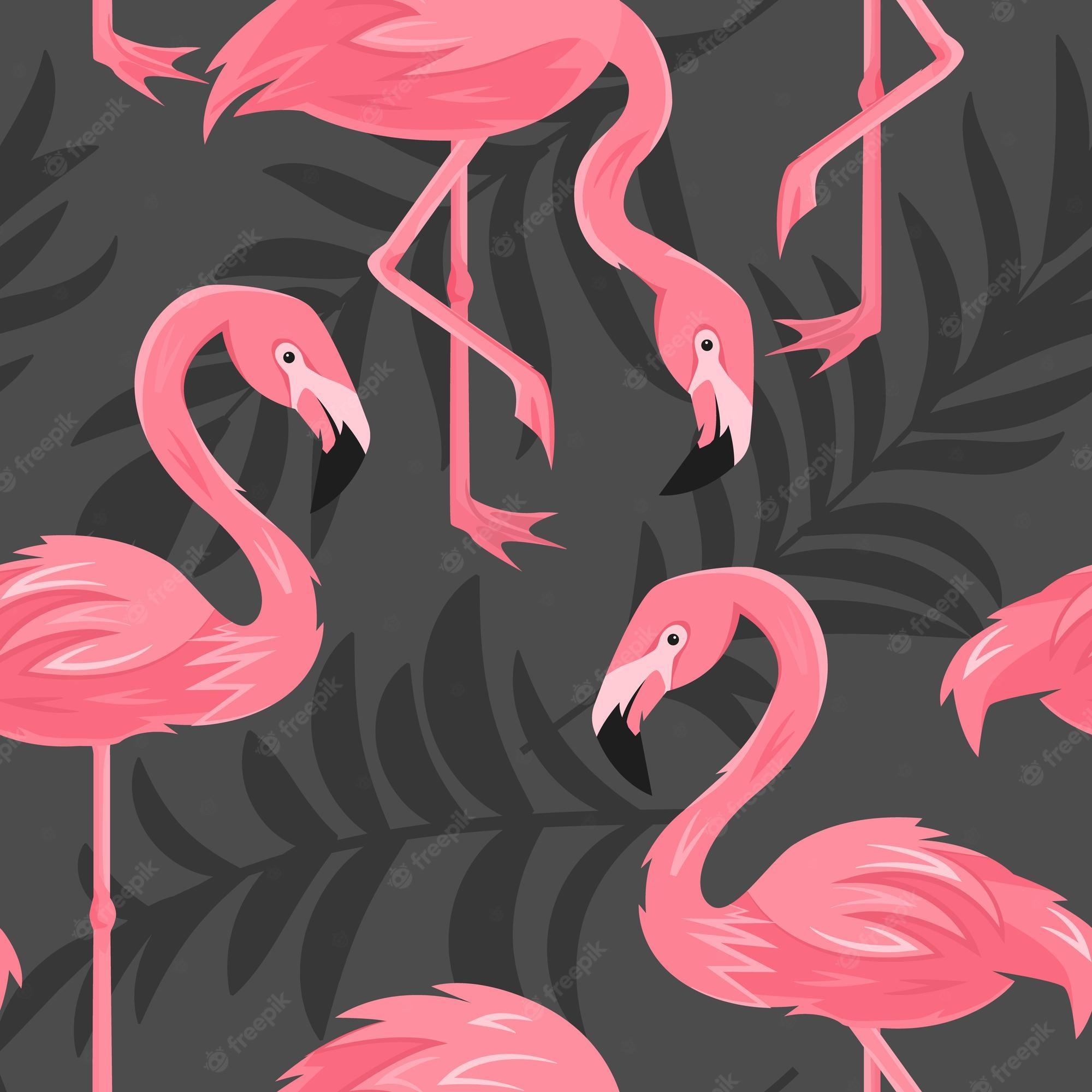 2000x2000 Flamingo wallpaper Vectors & Illustrations for Free Download