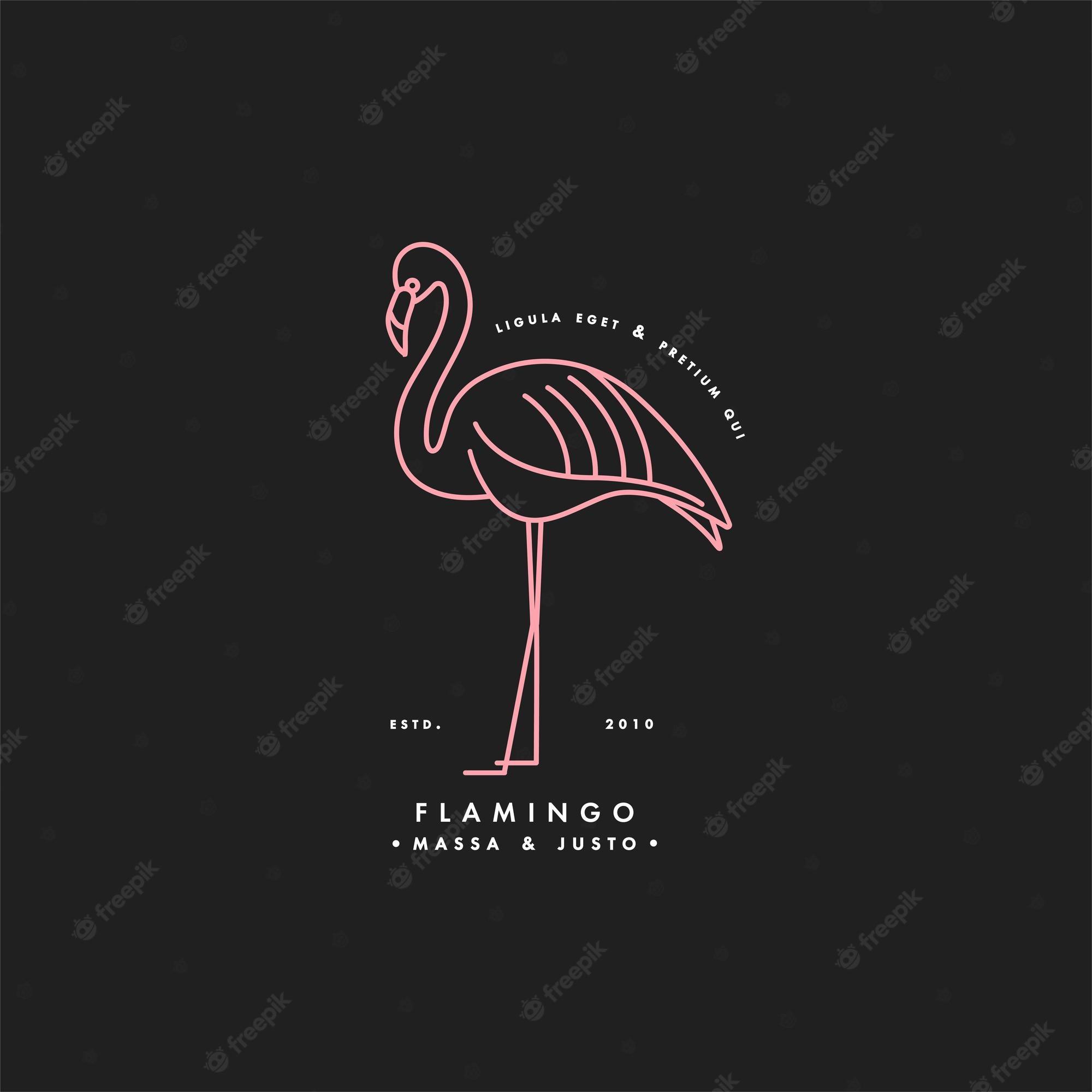 2000x2000 Flamingo line Image. Free Vectors, & PSD