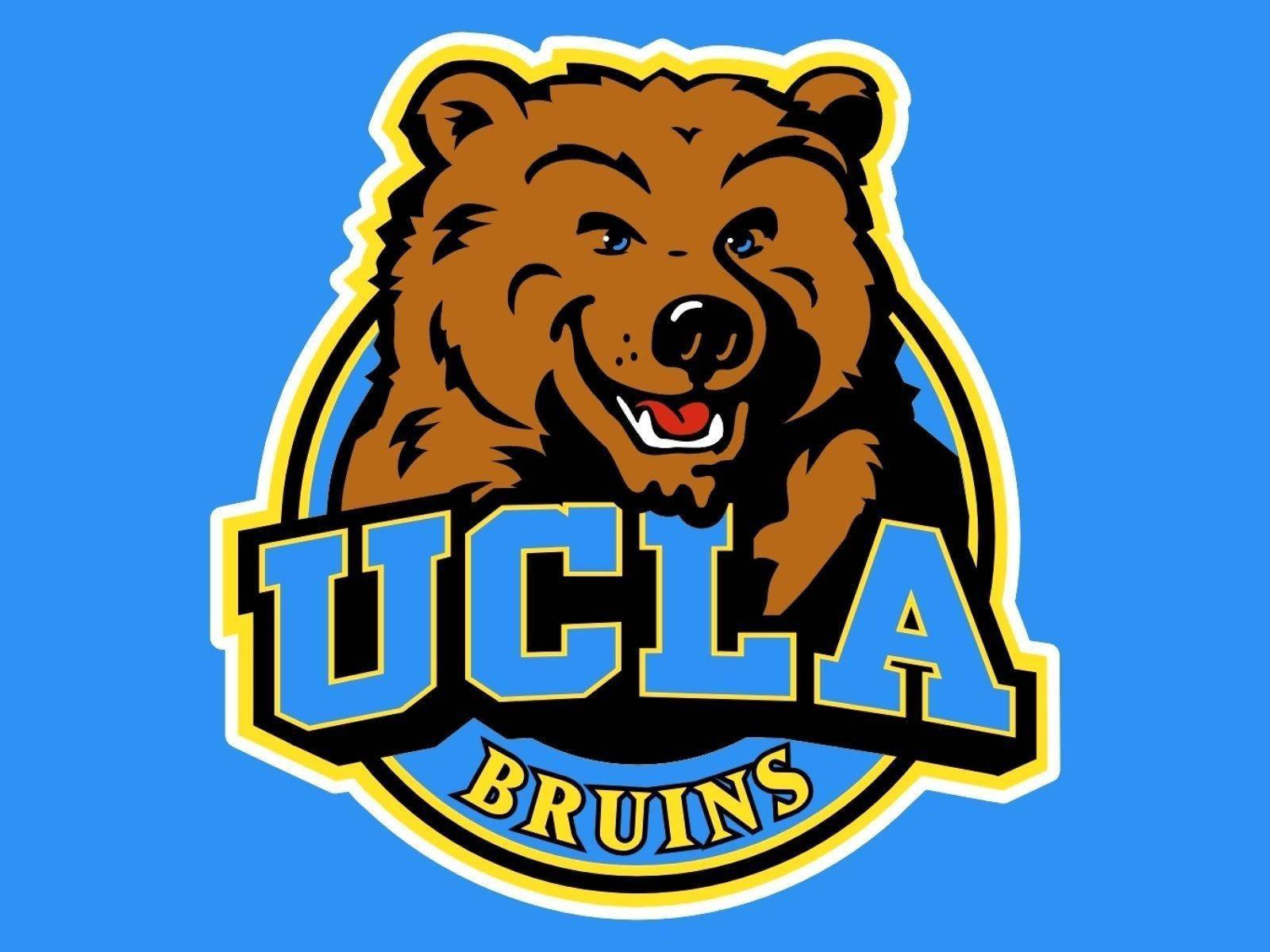 1600x1200 Download Ucla Bruins Logo With Bear Wallpaper