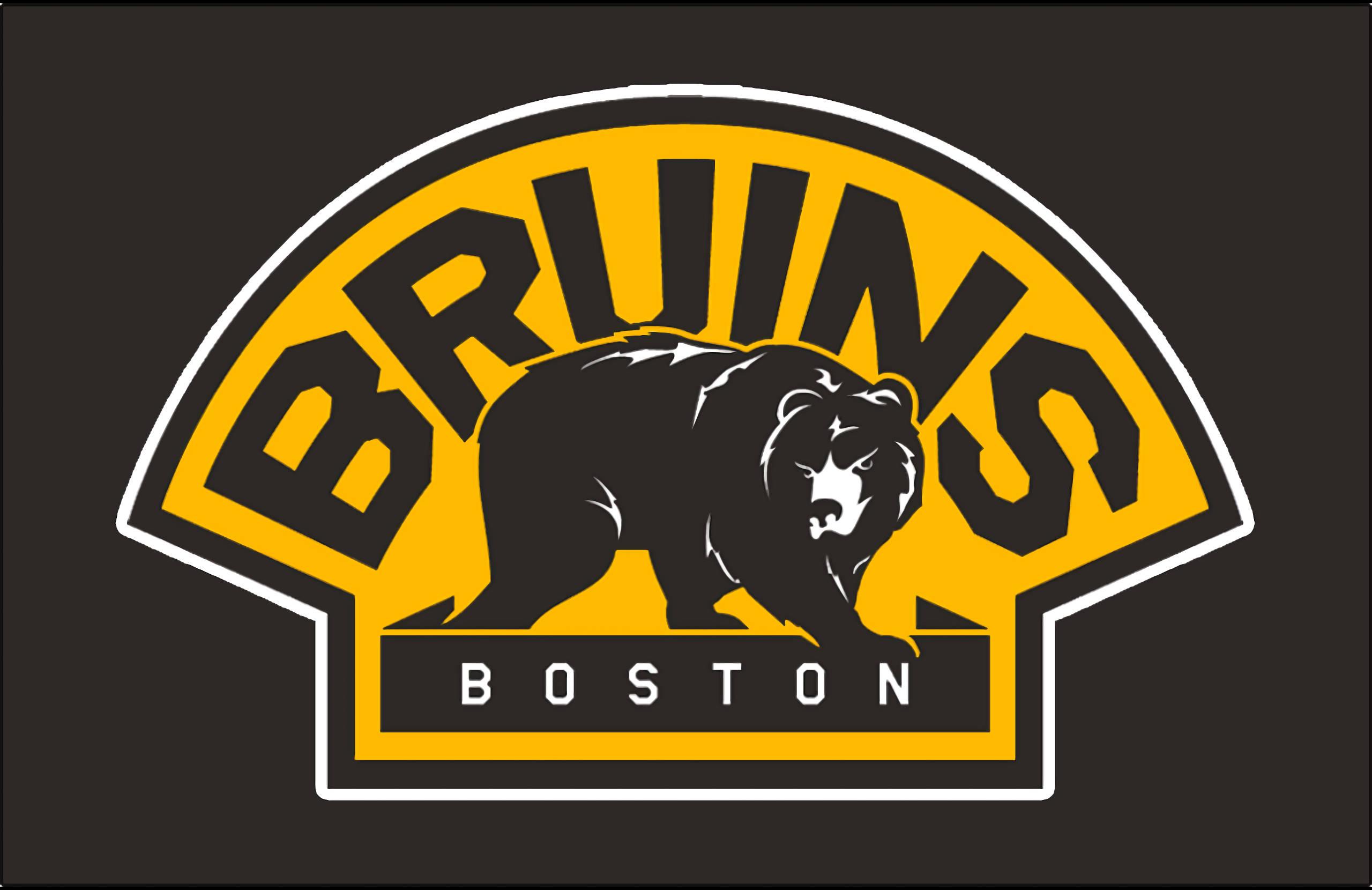 2560x1660 Download Boston Bruins Black Bear Wallpaper
