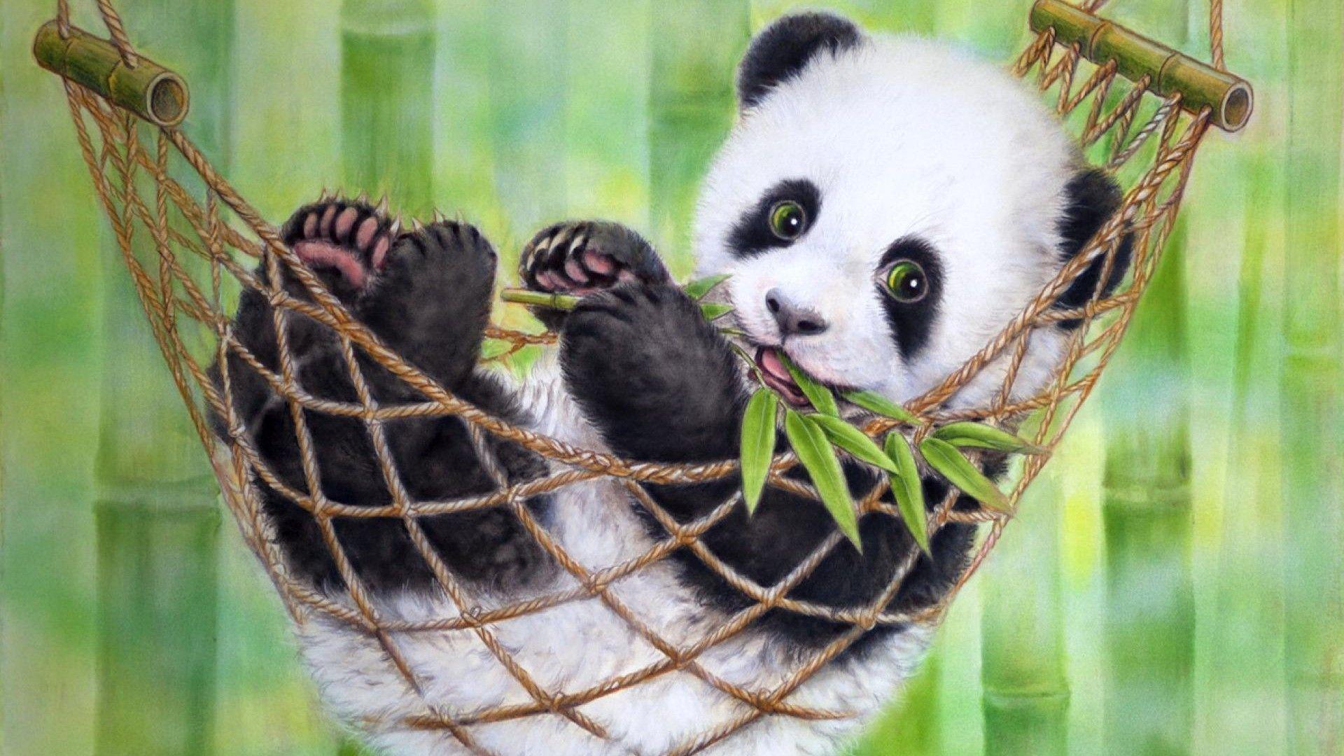 1920x1080 Cute Panda Wallpaper HD