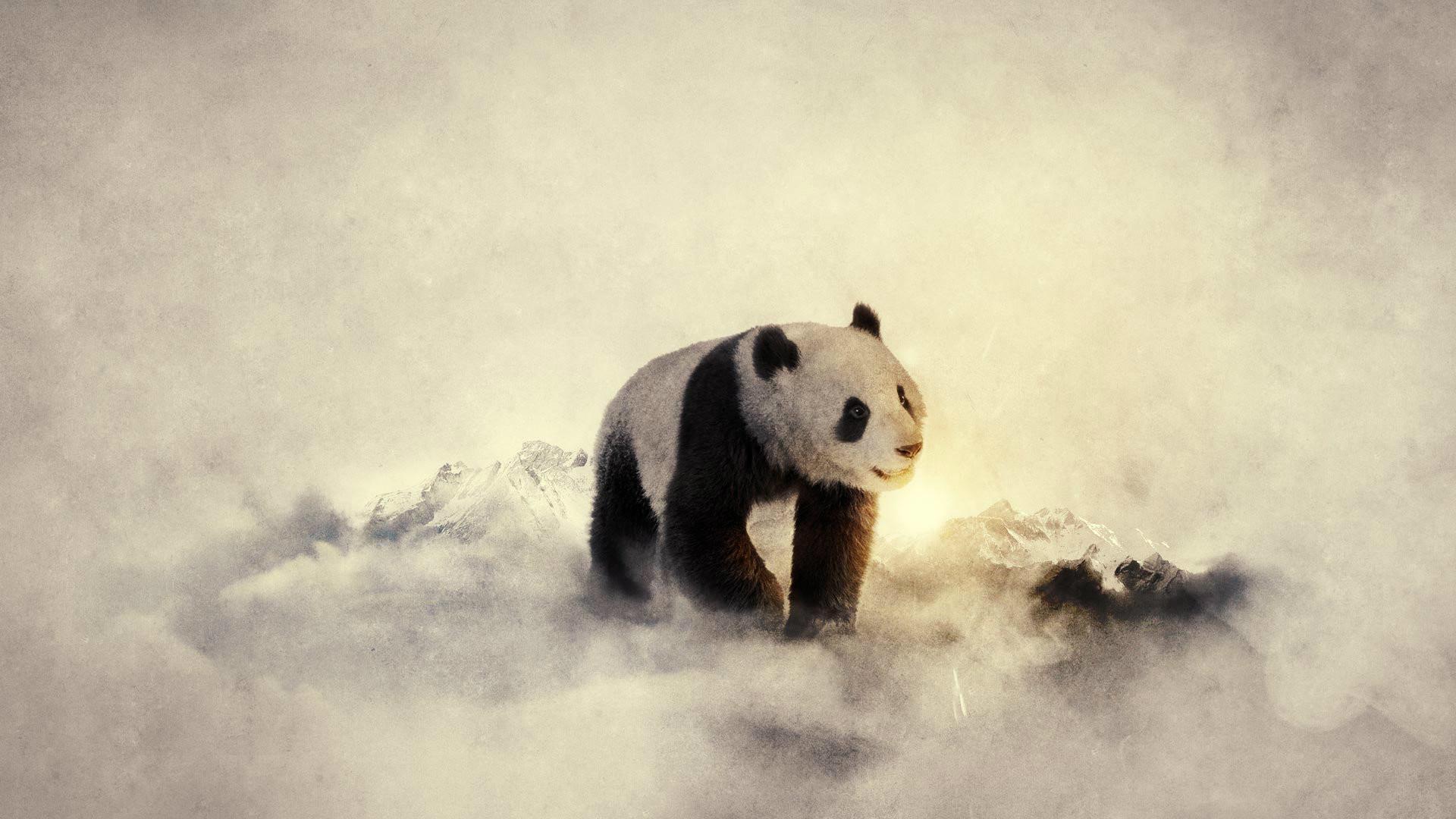 1920x1080 Beautiful Panda 3D Wallpaper