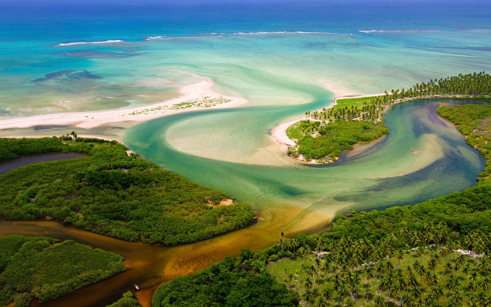 1920x1200 forest, River, Jungles, Brazil, Aerial View, Estuaries, Beach, Sea, Nature, Landscape Wallpaper HD / Desktop and Mobile Background