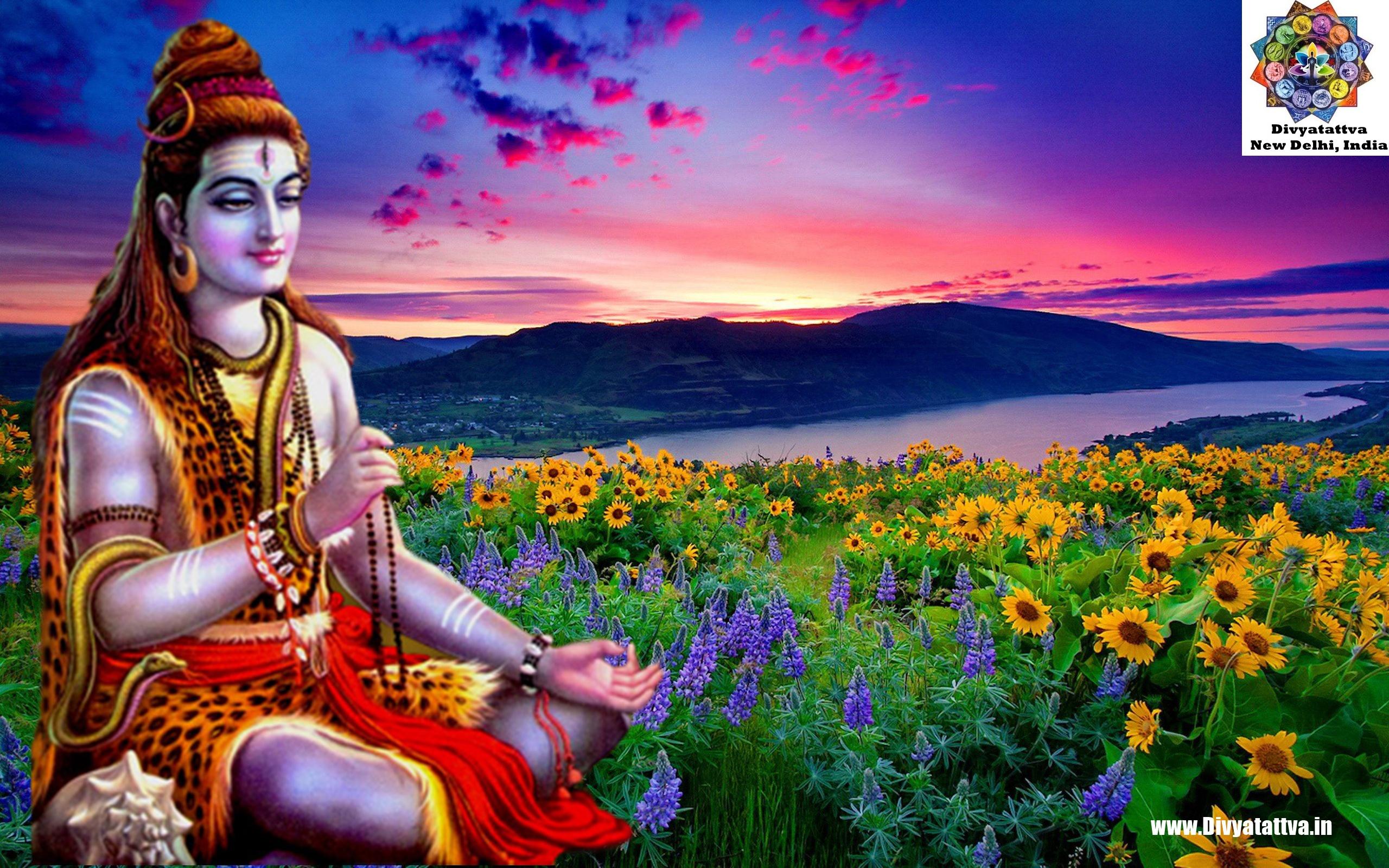 2560x1600 Lord Shiva HD Background Siva Meditation Wallpaper Hindu God Mahadev in Samadhi