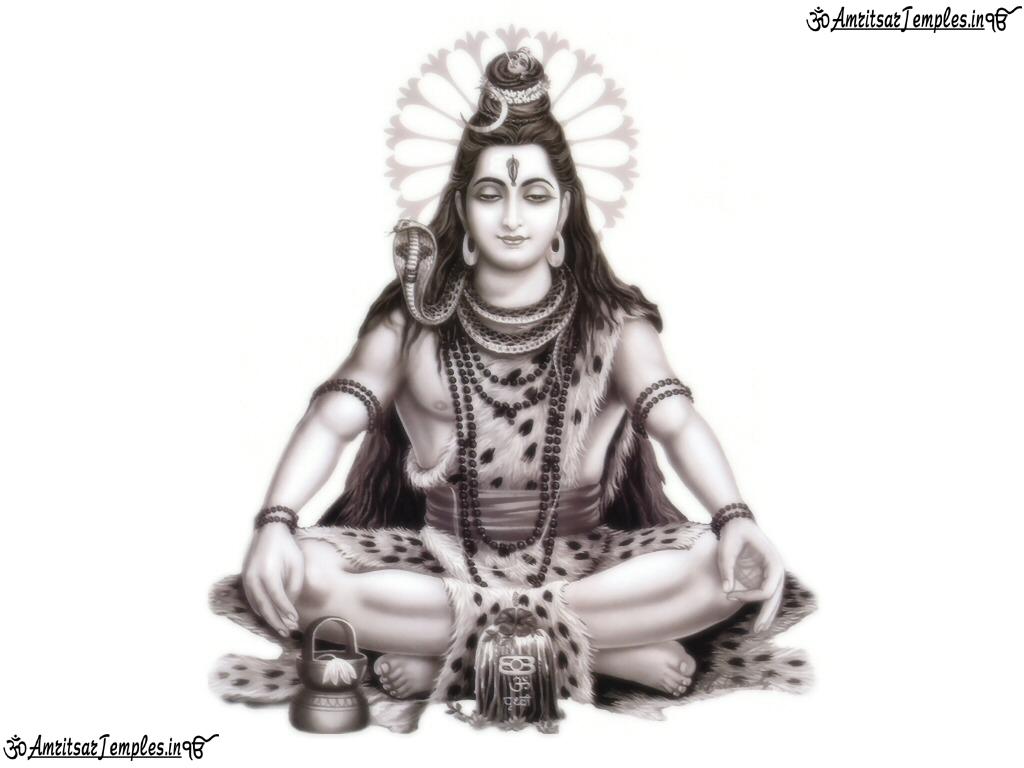 1024x768 Lord Shiva Meditation Photographs